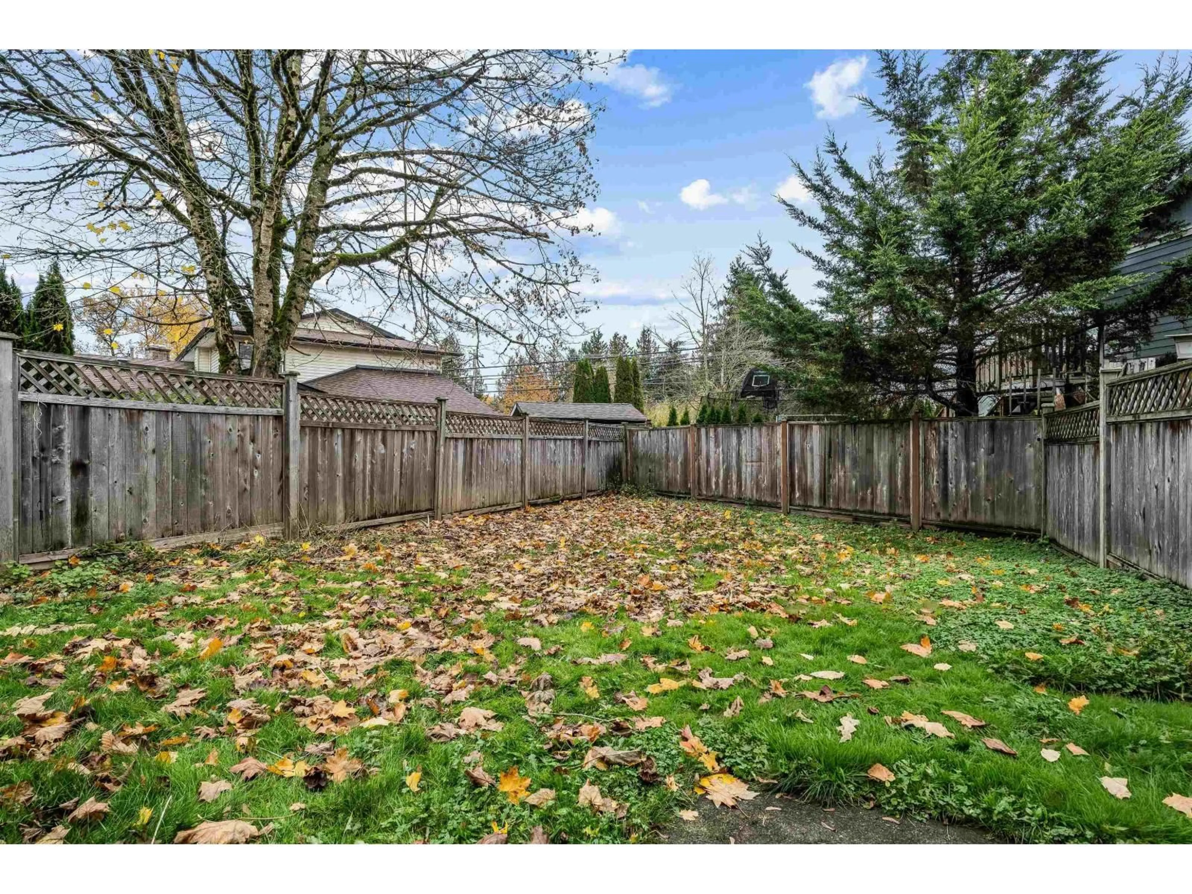 Patio, forest/trees view for 27177 33A AVENUE, Langley British Columbia V4W3H5