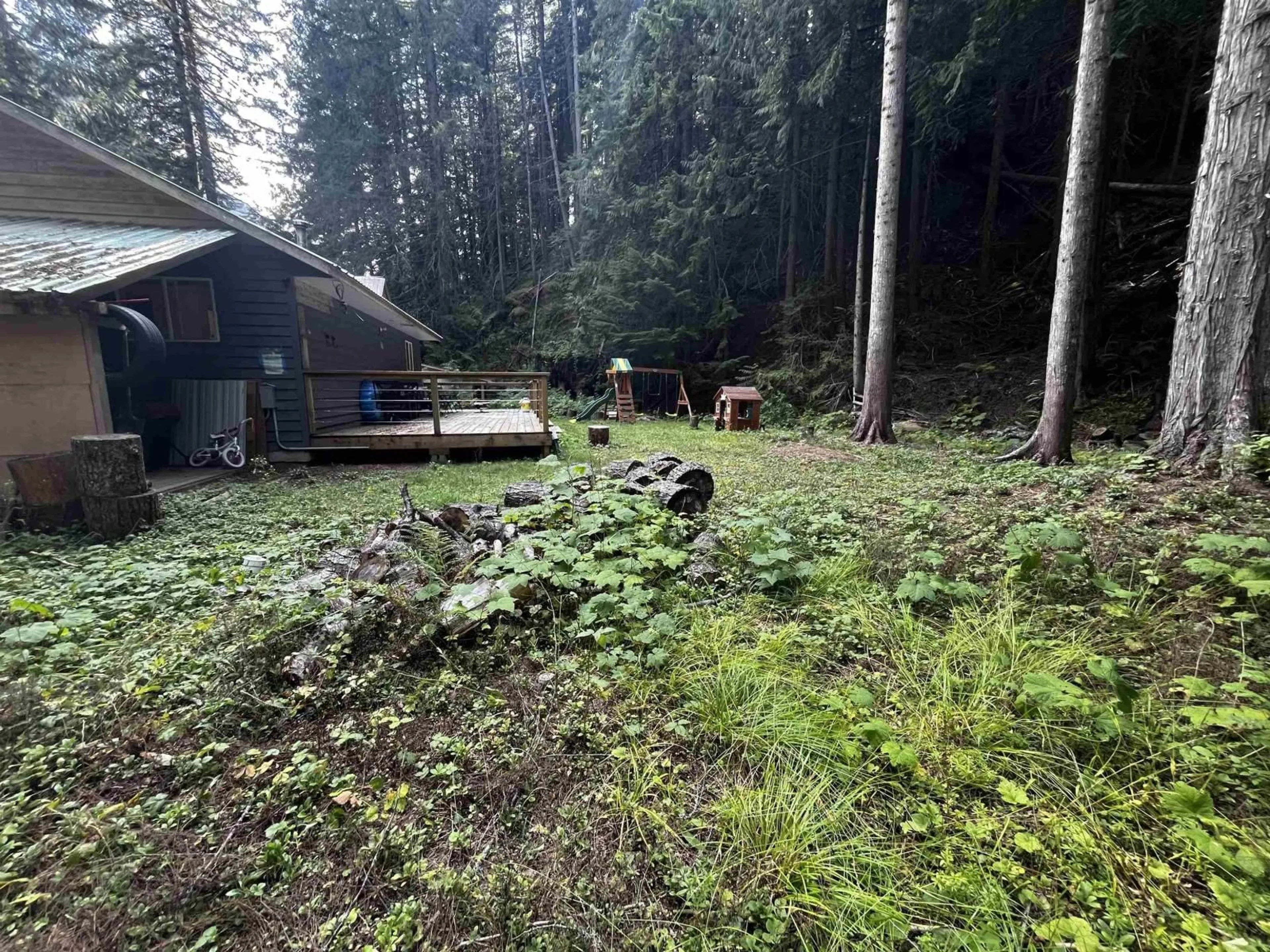 A pic from outside/outdoor area/front of a property/back of a property/a pic from drone, forest/trees view for 14611 ALPINE BOULEVARD, Hope British Columbia V0X1L5