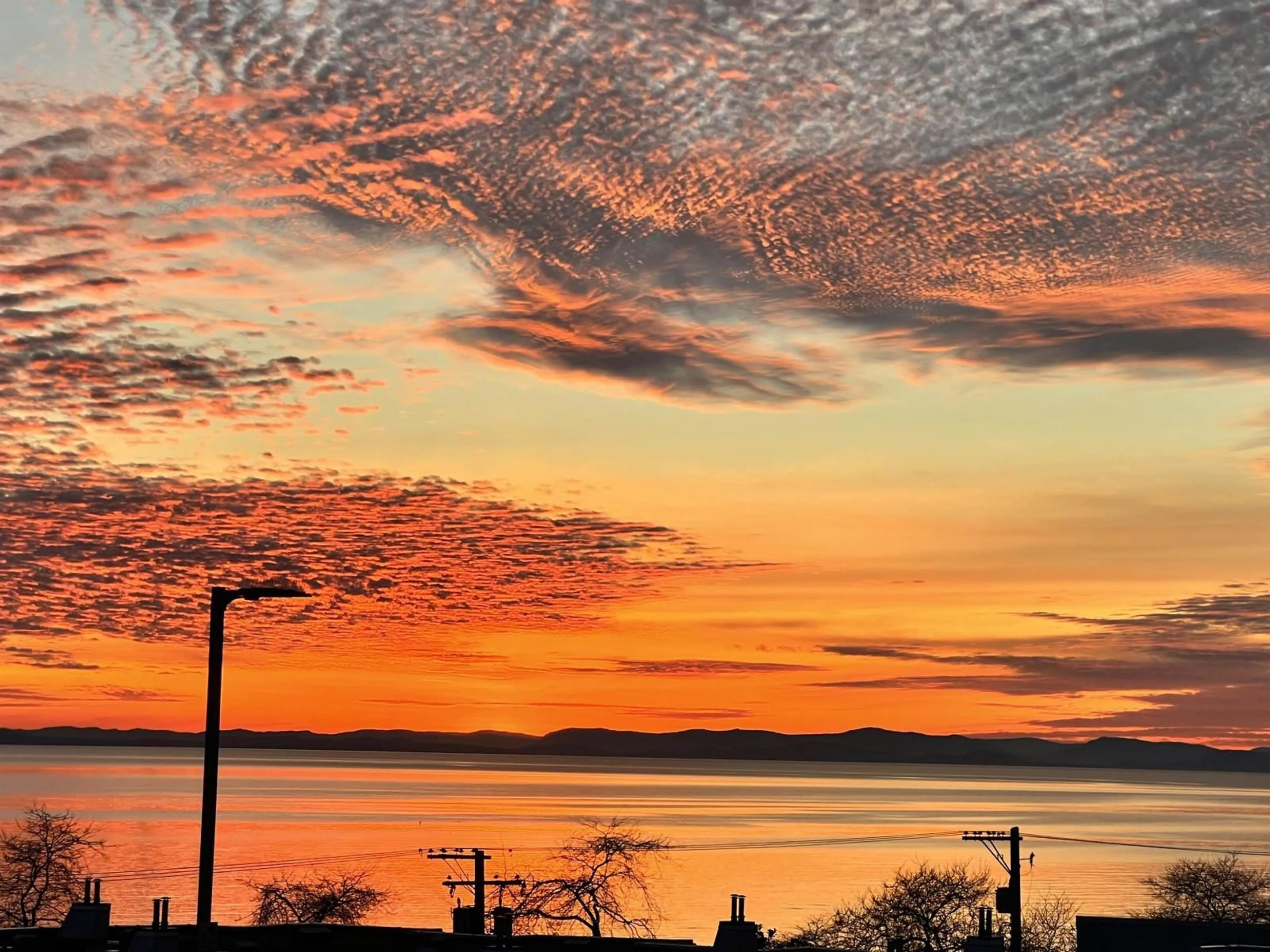 Blurry image for 1246 OXFORD STREET, White Rock British Columbia V4B5G8