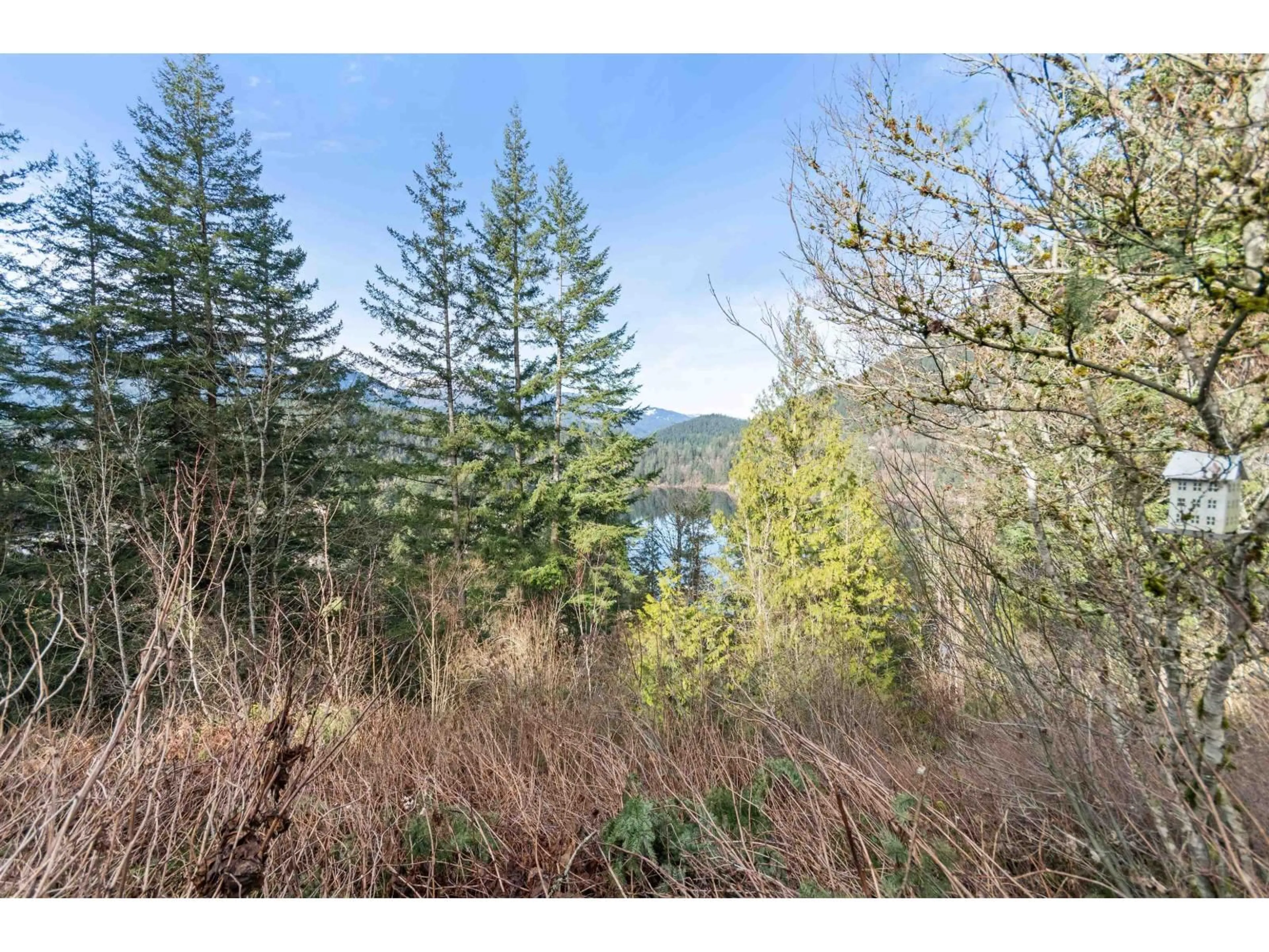A pic from outside/outdoor area/front of a property/back of a property/a pic from drone, water/lake/river/ocean view for 66176 KAWKAWA LAKE ROAD, Hope British Columbia V0X1L1