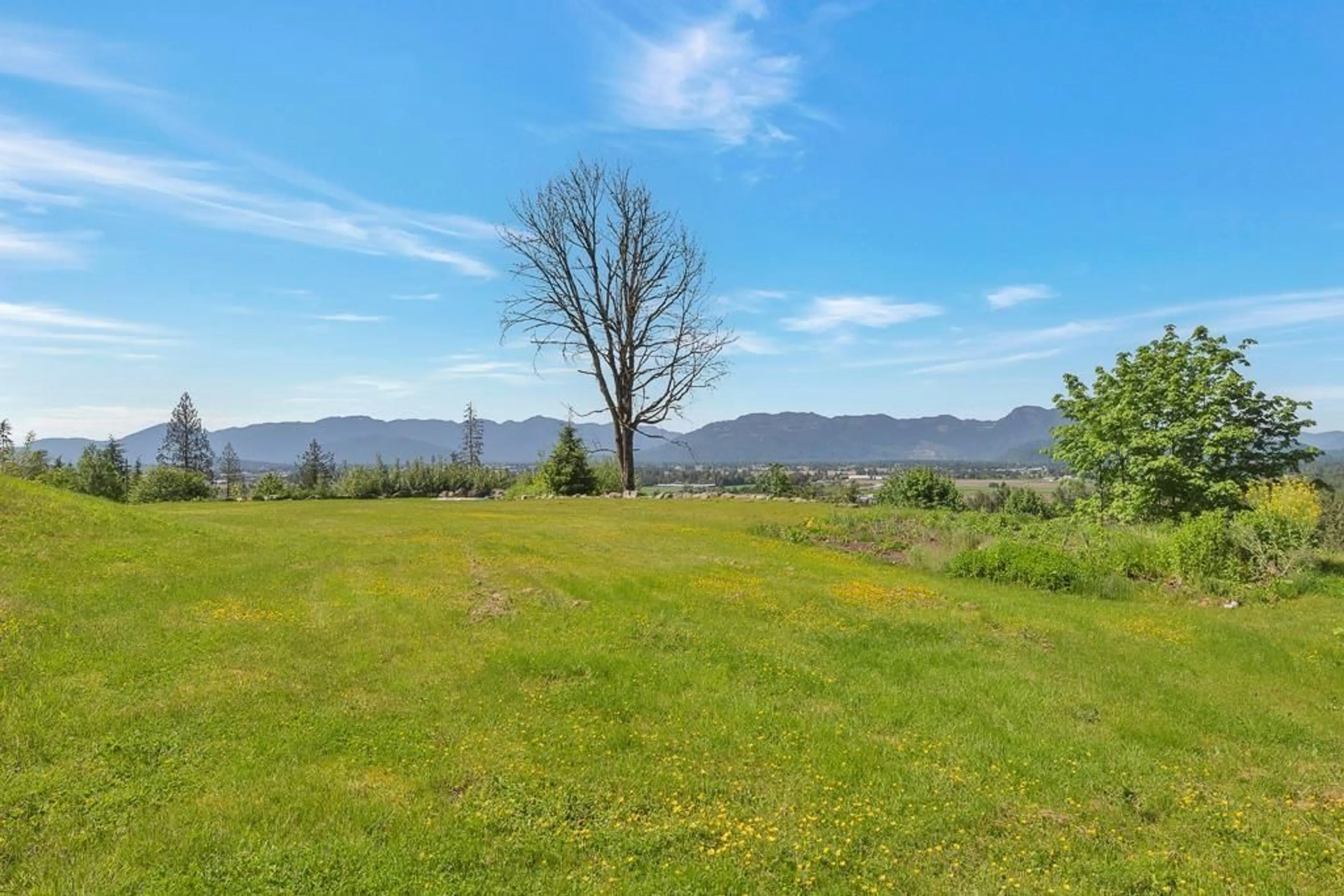 A pic from outside/outdoor area/front of a property/back of a property/a pic from drone, mountain view for 51860 HACK-BROWN ROAD, Chilliwack British Columbia V4Z1L1