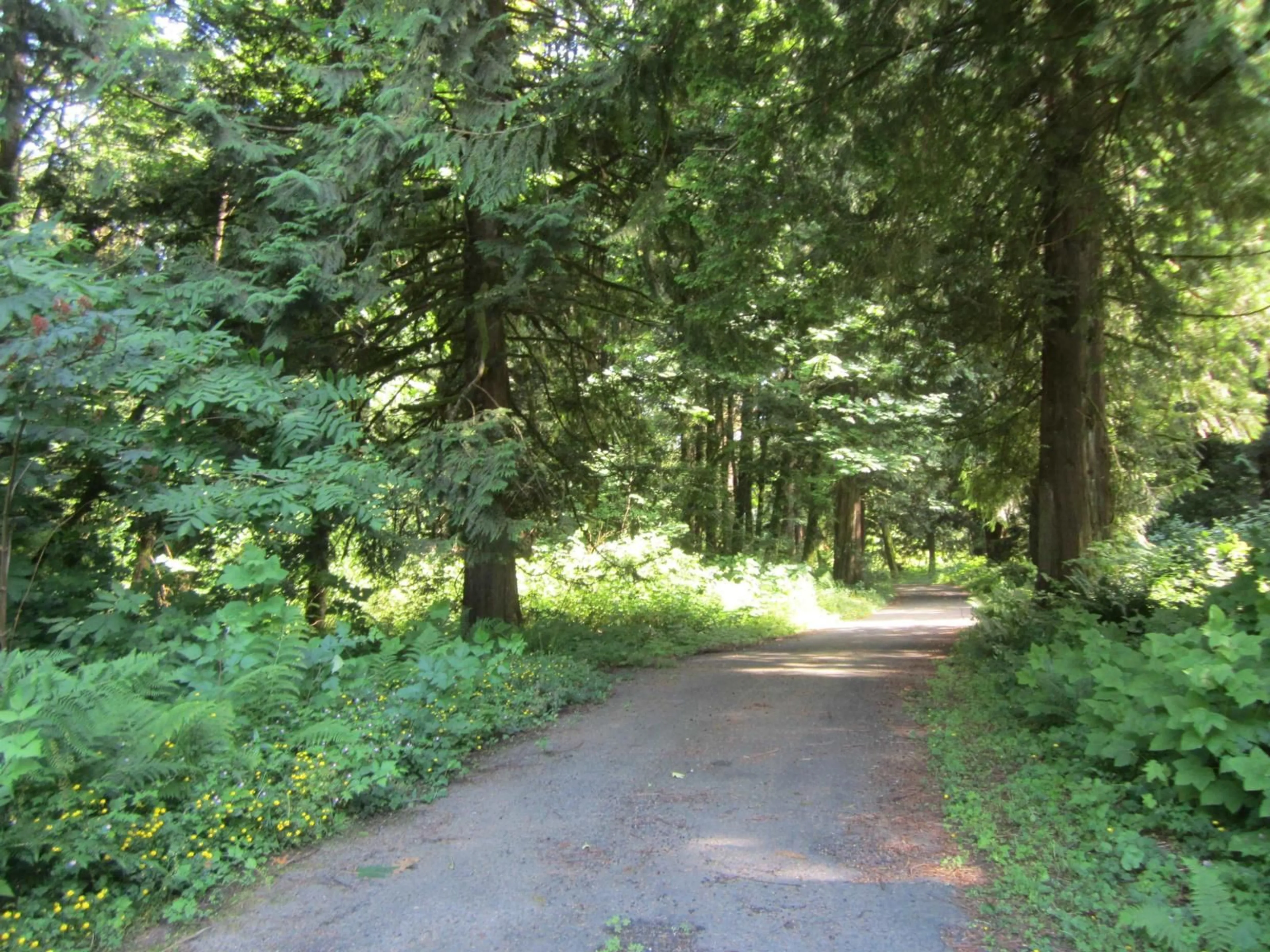 Blurry image for 11121 BARNES ROAD, Mission British Columbia V0M1G0