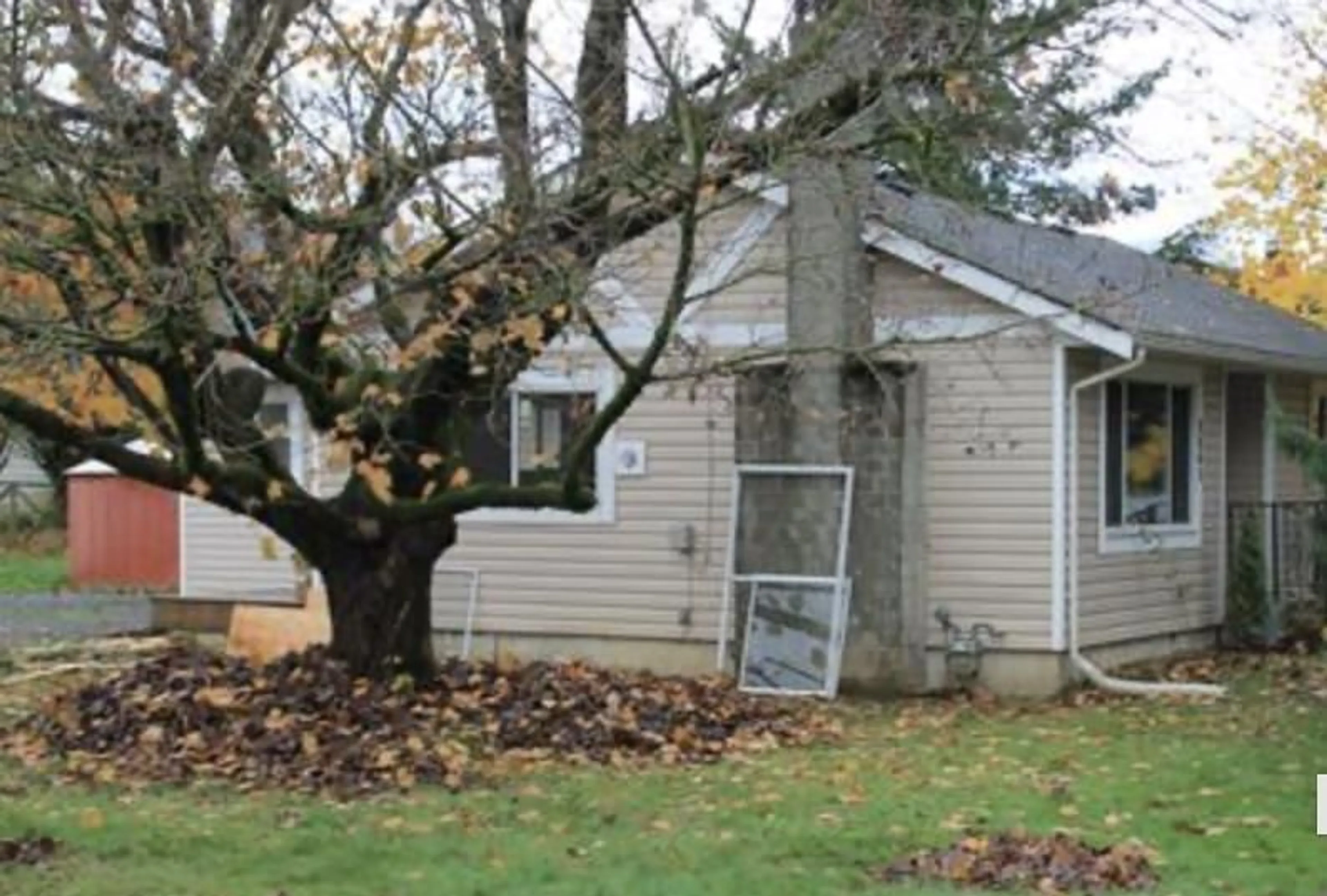 Shed for 8881 NOWELL STREET, Chilliwack British Columbia V2P4X3