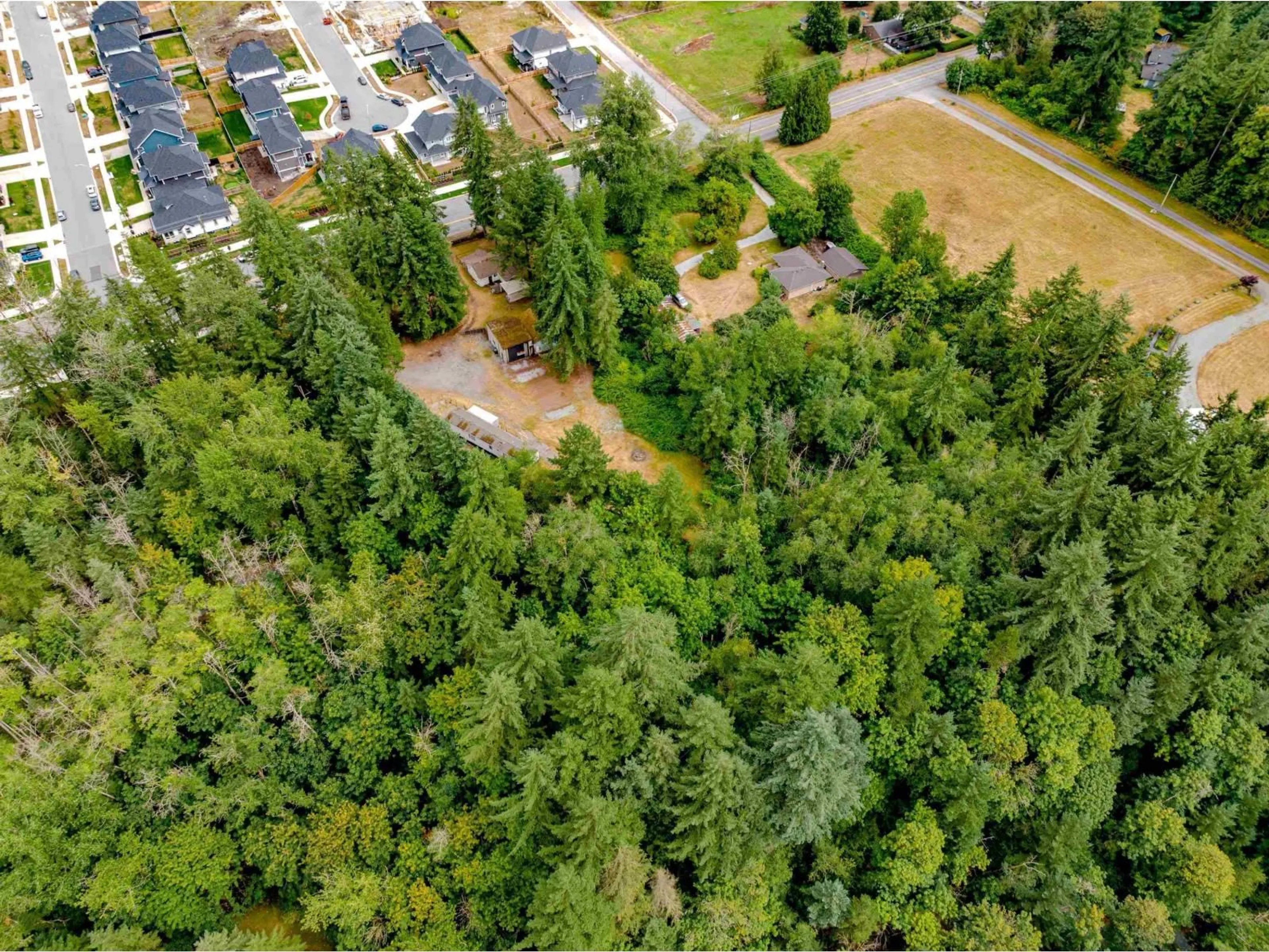 A pic from outside/outdoor area/front of a property/back of a property/a pic from drone, forest/trees view for 3381 208 STREET, Langley British Columbia V2Z2C5