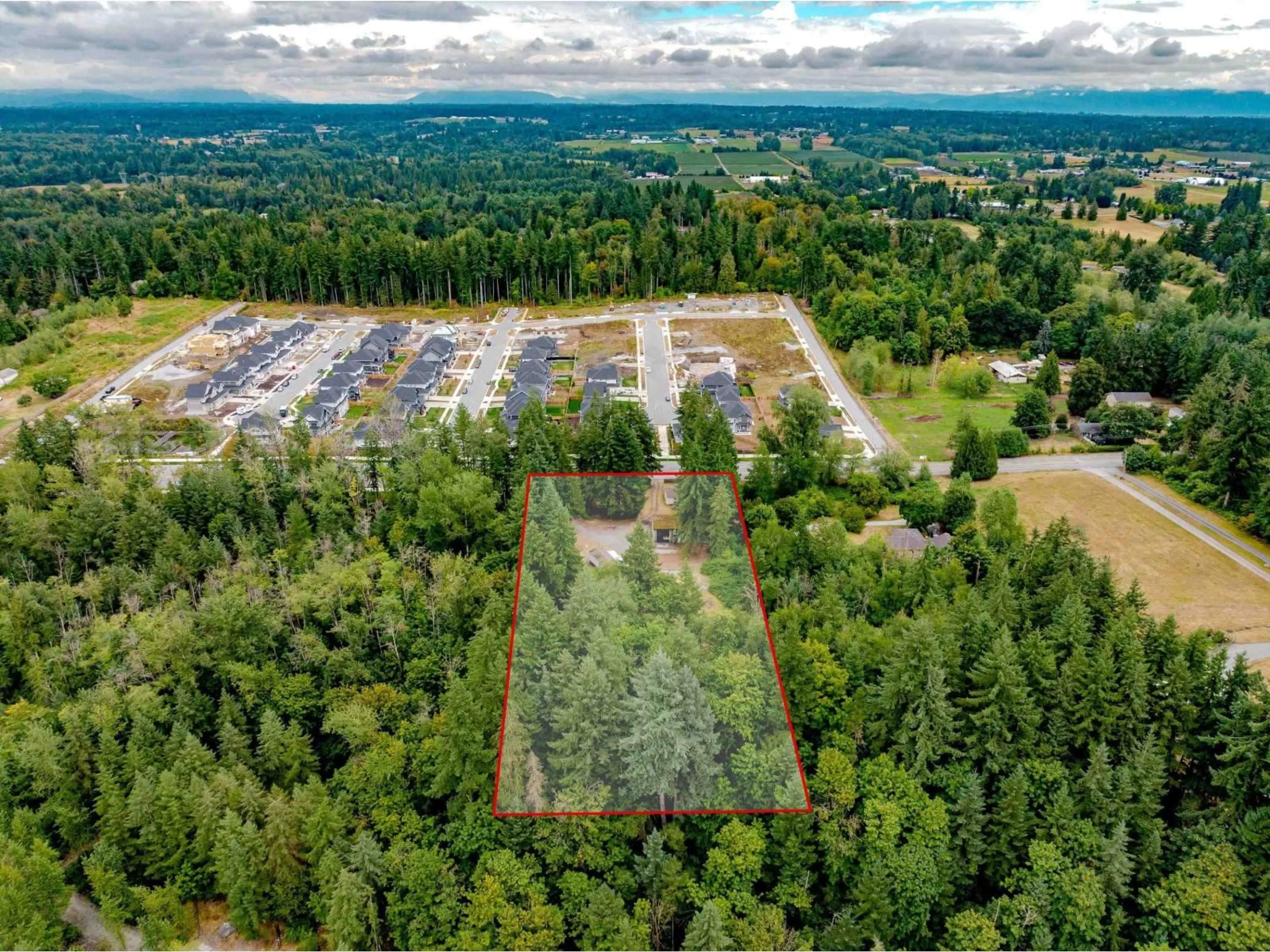 A pic from outside/outdoor area/front of a property/back of a property/a pic from drone, forest/trees view for 3381 208 STREET, Langley British Columbia V2Z2C5