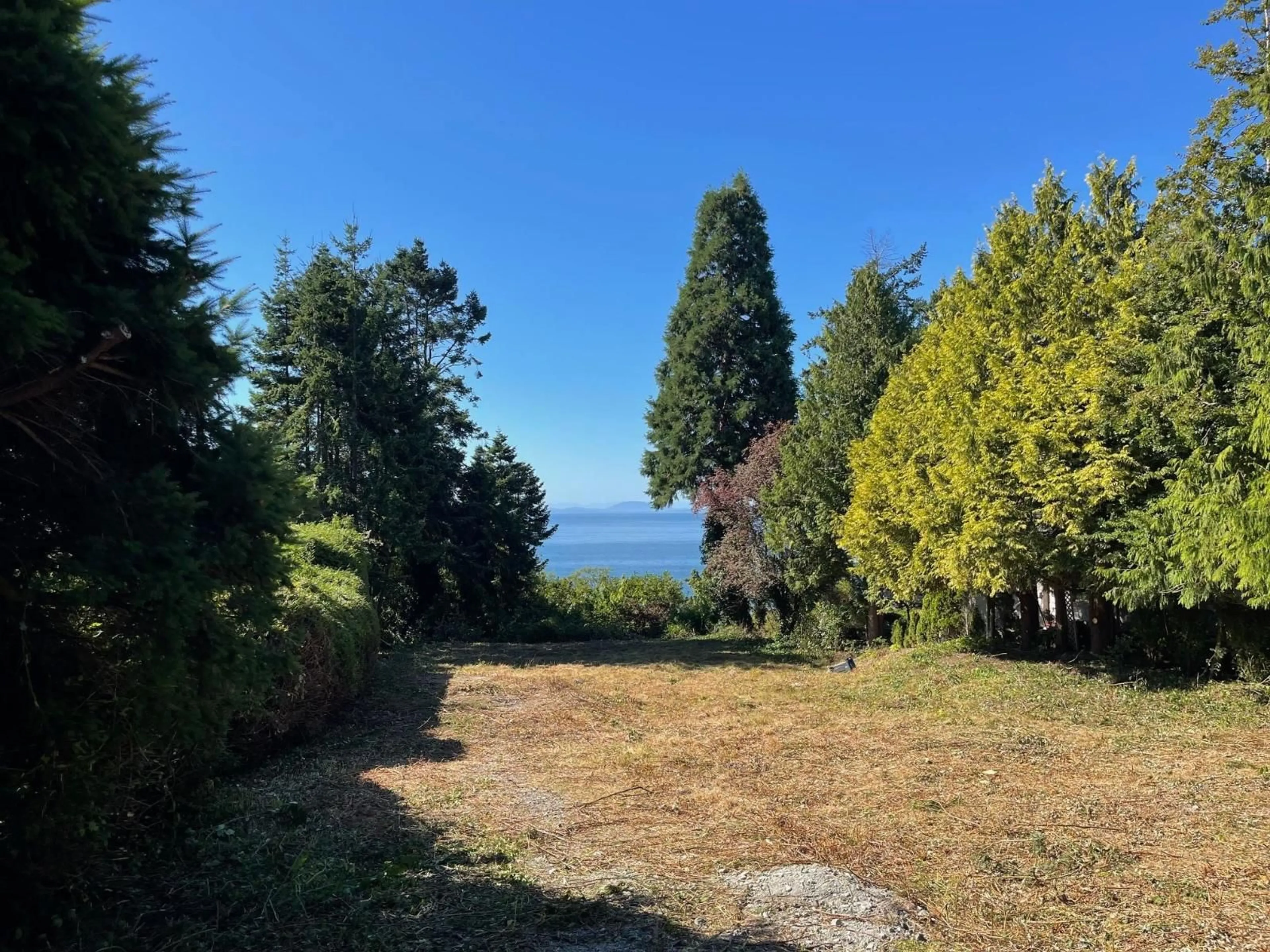 A pic from outside/outdoor area/front of a property/back of a property/a pic from drone, forest/trees view for 13536 13A AVENUE, Surrey British Columbia V4A1C4