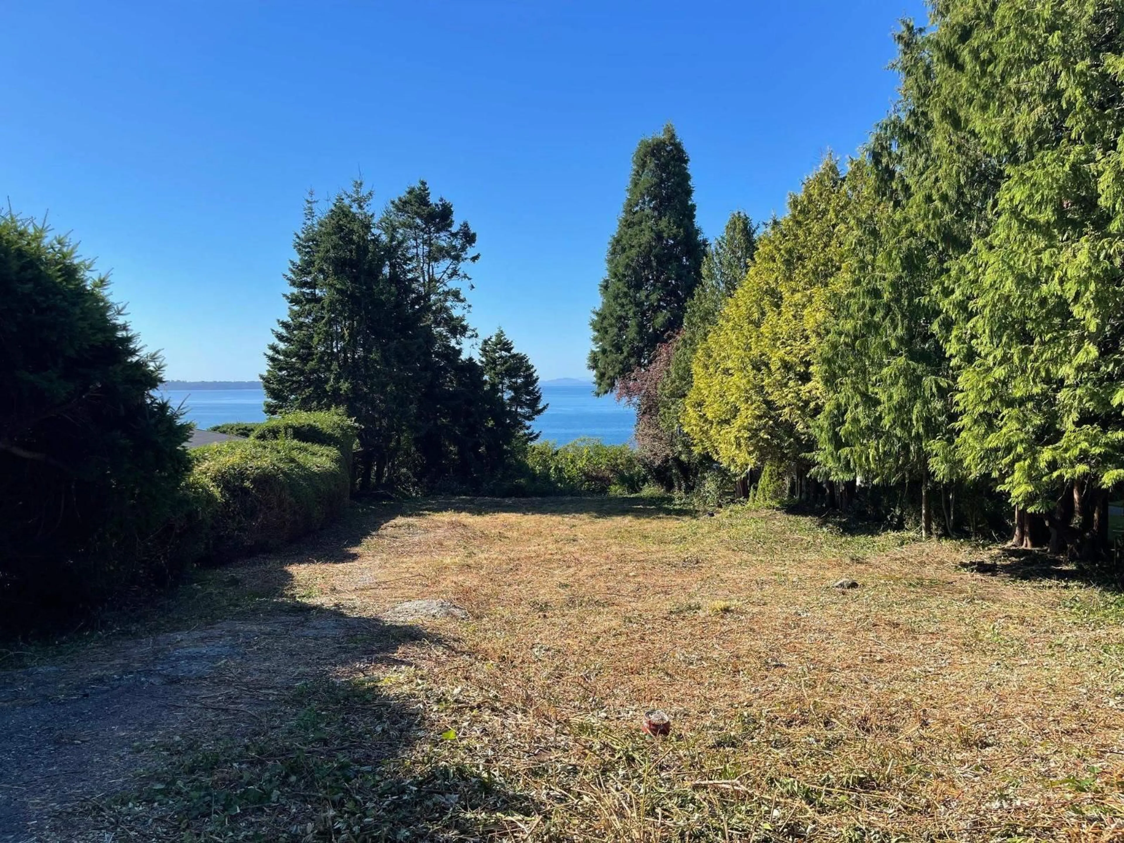 A pic from outside/outdoor area/front of a property/back of a property/a pic from drone, water/lake/river/ocean view for 13536 13A AVENUE, Surrey British Columbia V4A1C4