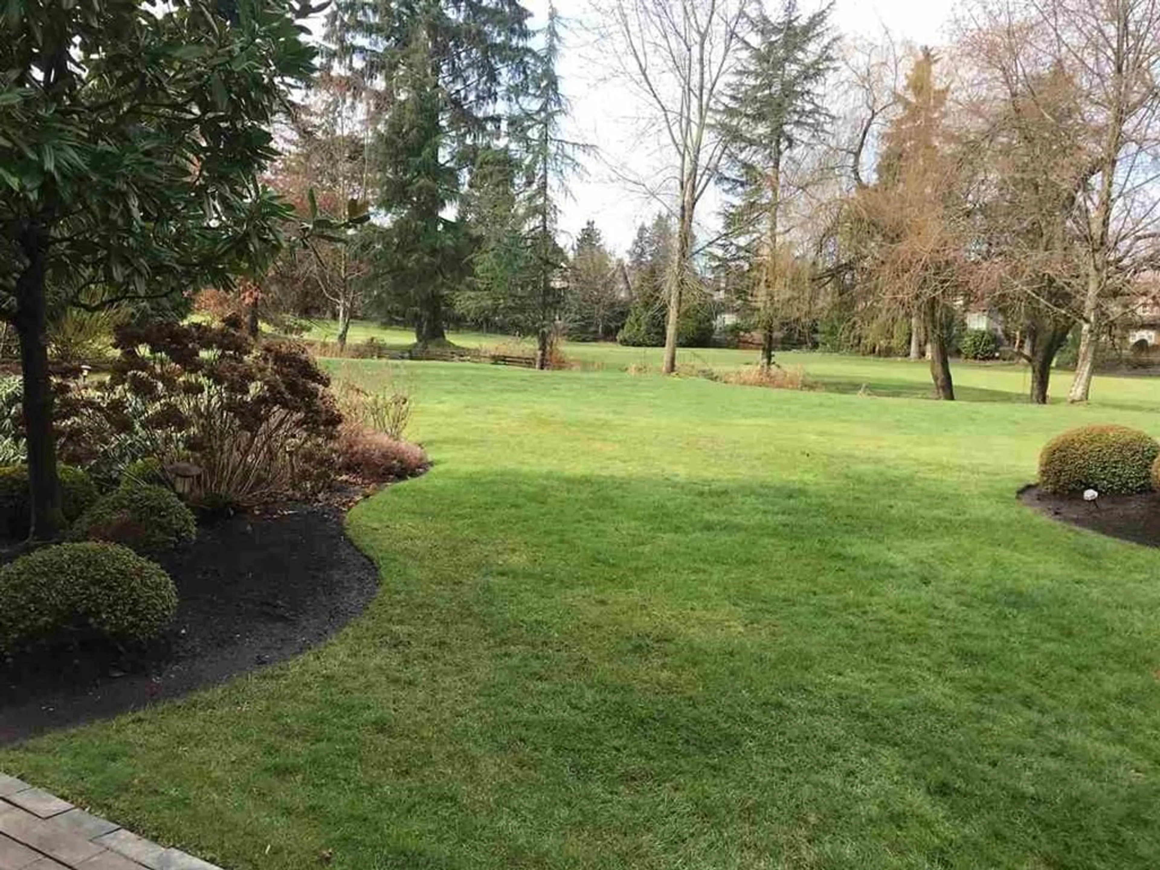 A pic from outside/outdoor area/front of a property/back of a property/a pic from drone, forest/trees view for 3689 159A STREET, Surrey British Columbia V3Z0P1
