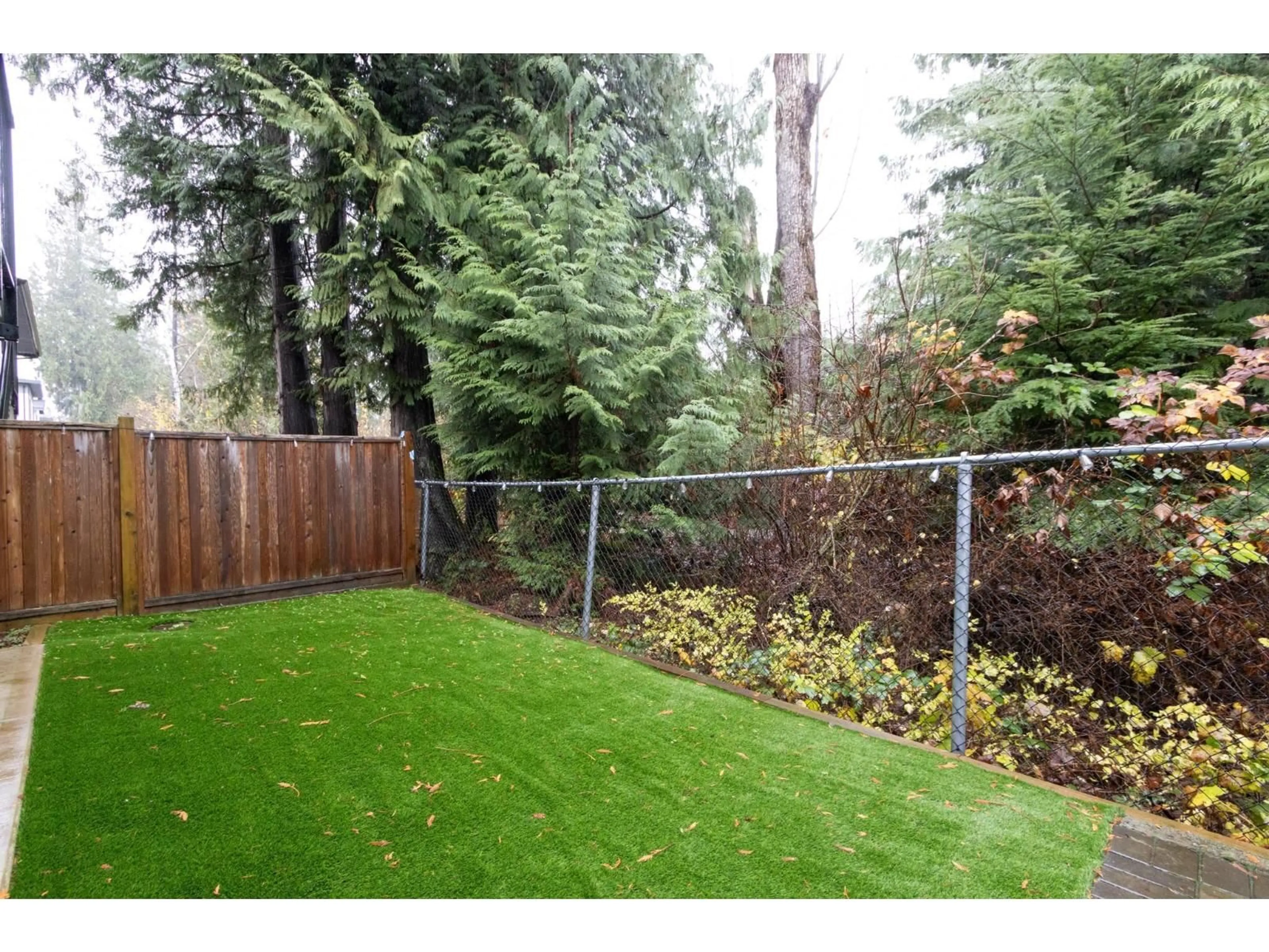 A pic from outside/outdoor area/front of a property/back of a property/a pic from drone, forest/trees view for 36743 CARL CREEK CRESCENT, Abbotsford British Columbia V3G0H4