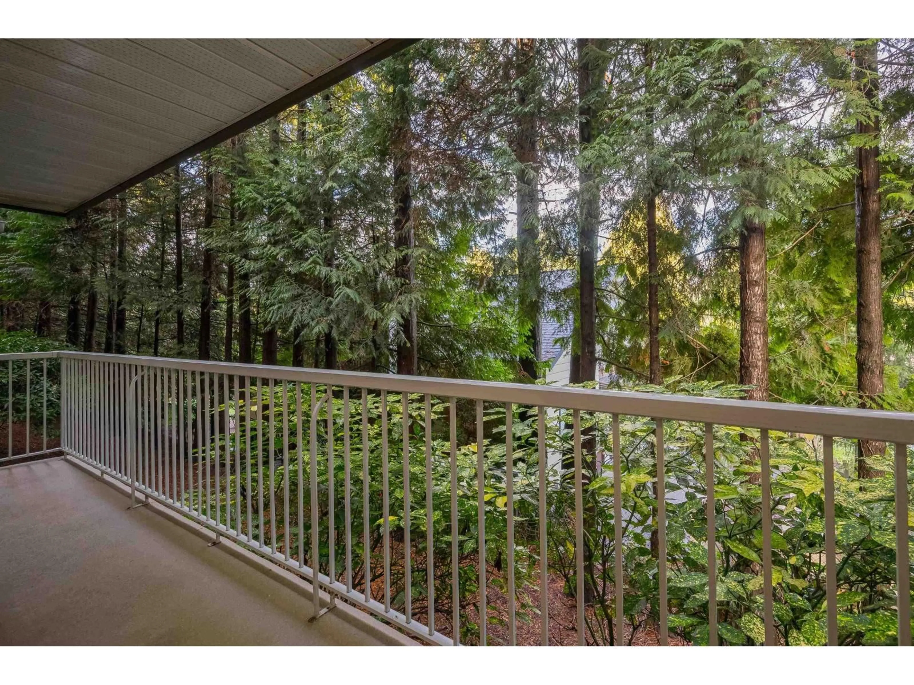 Patio, water/lake/river/ocean view for 107 - 2780 WARE STREET, Abbotsford British Columbia V2S7C7