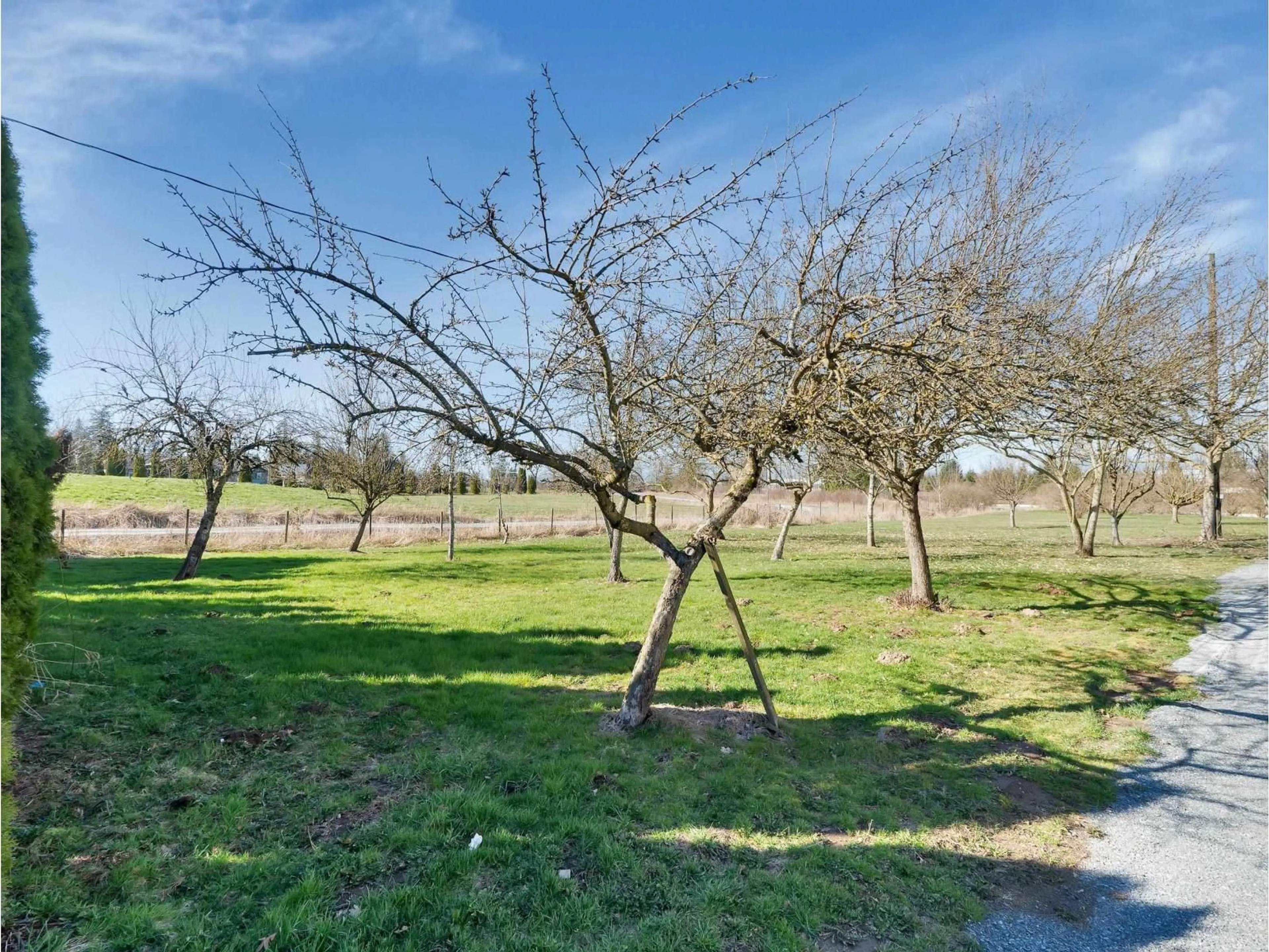 A pic from outside/outdoor area/front of a property/back of a property/a pic from drone, forest/trees view for 27550 48 AVENUE, Langley British Columbia V4W1S1