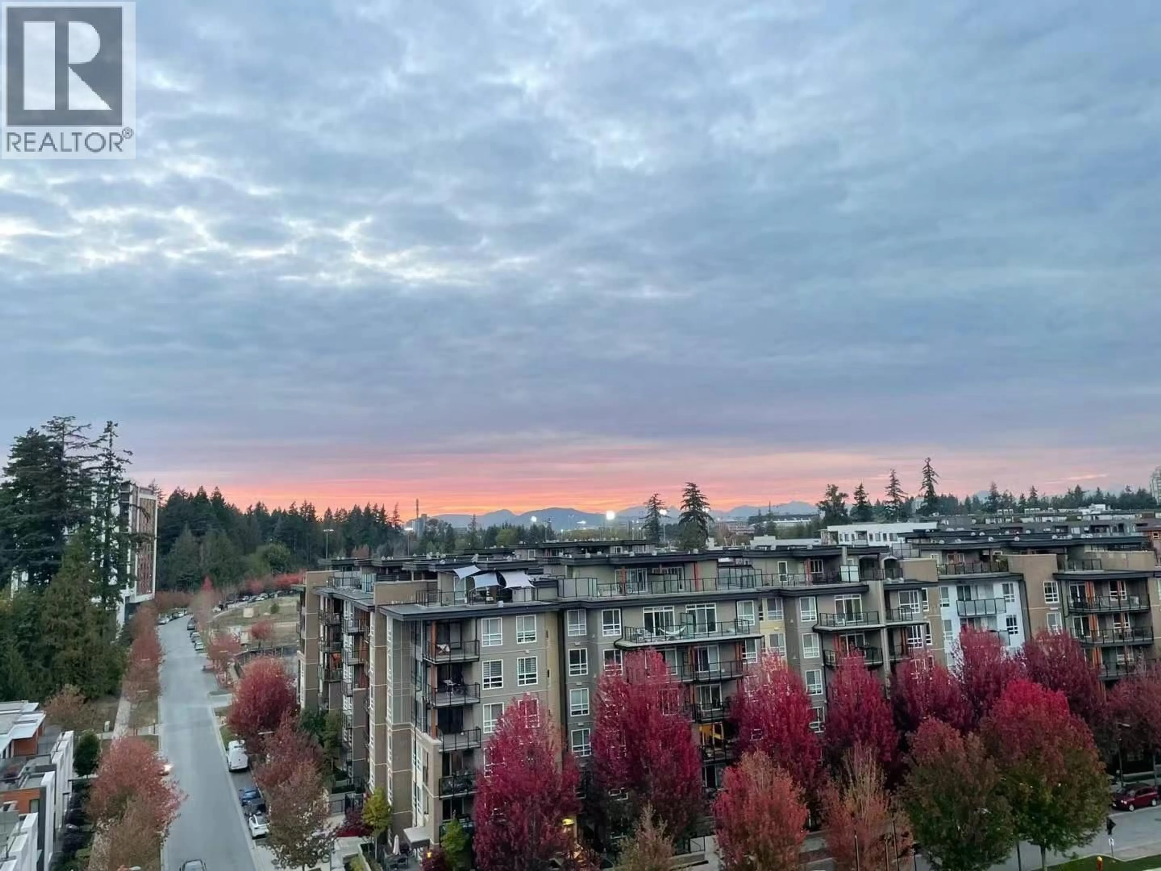 Blurry image for 1003 - 3533 ROSS DRIVE, Vancouver British Columbia V6S0L3