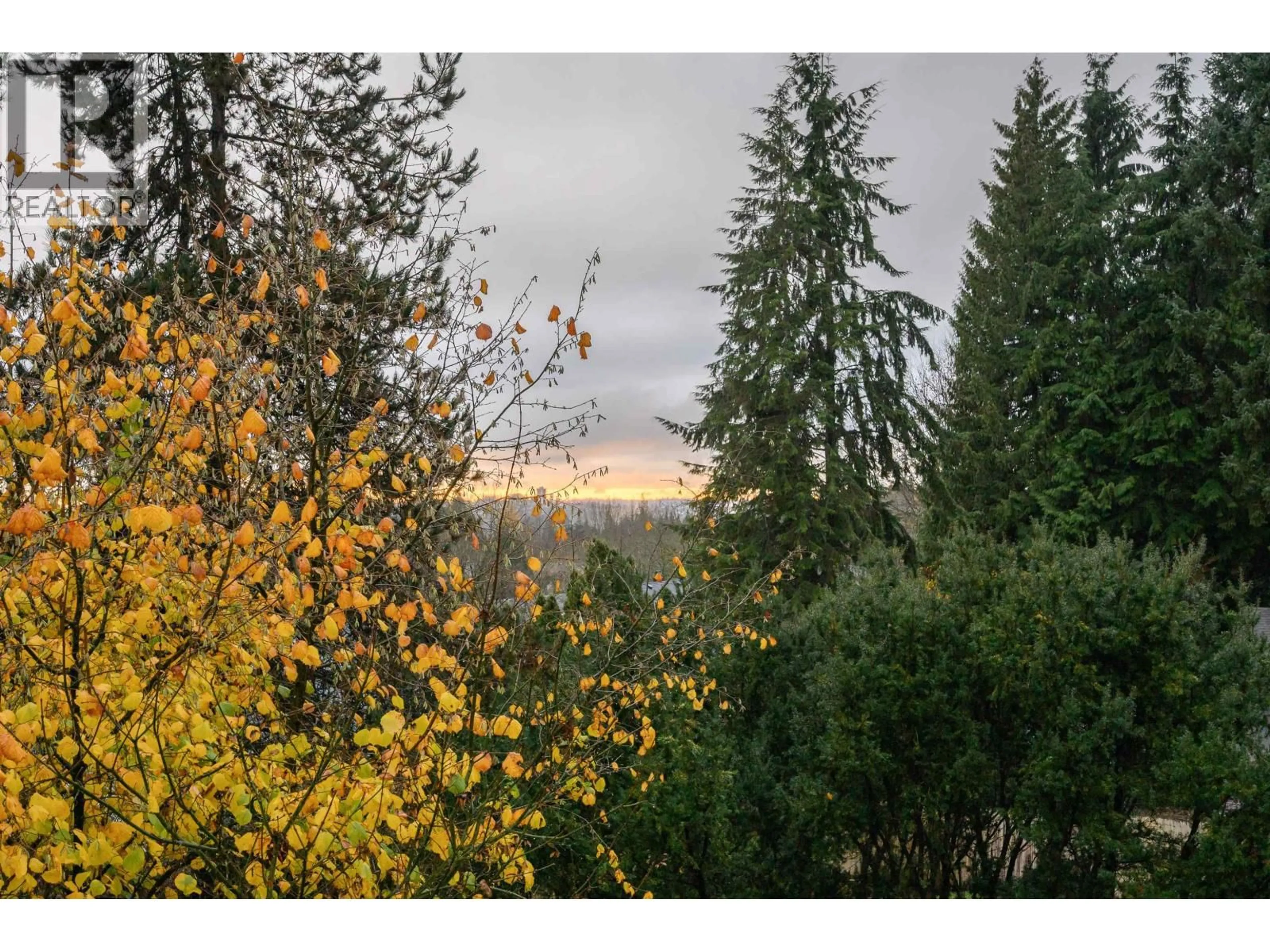A pic from outside/outdoor area/front of a property/back of a property/a pic from drone, forest/trees view for 514 - 1000 BOWRON COURT, North Vancouver British Columbia V7H2W1