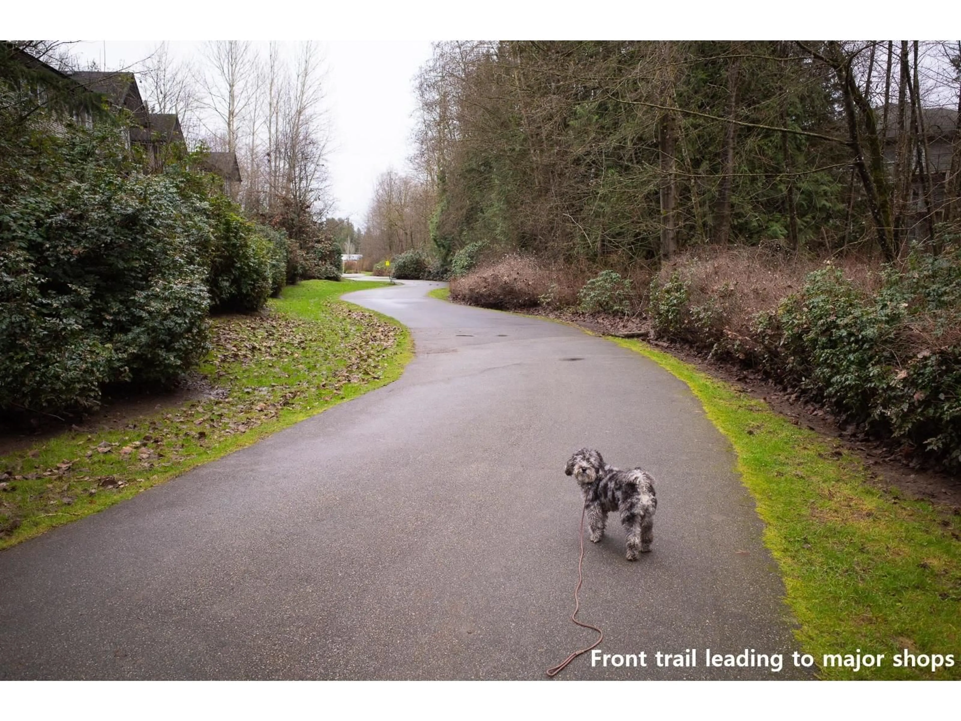 A pic from outside/outdoor area/front of a property/back of a property/a pic from drone, forest/trees view for A200 - 20087 68 AVENUE, Langley British Columbia V2Y0Y2