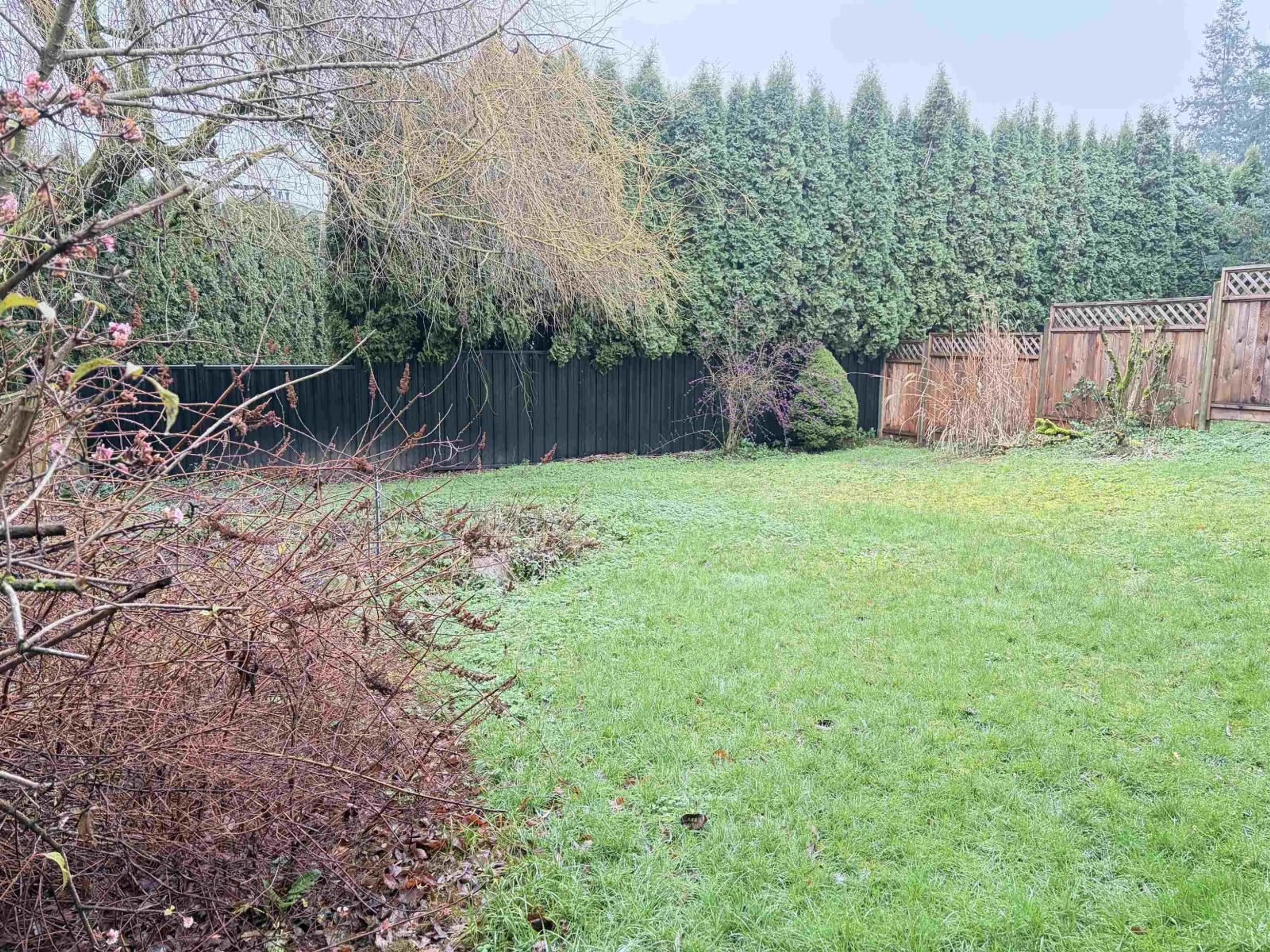 A pic from outside/outdoor area/front of a property/back of a property/a pic from drone, forest/trees view for 1576 161 STREET, Surrey British Columbia V4A4X8