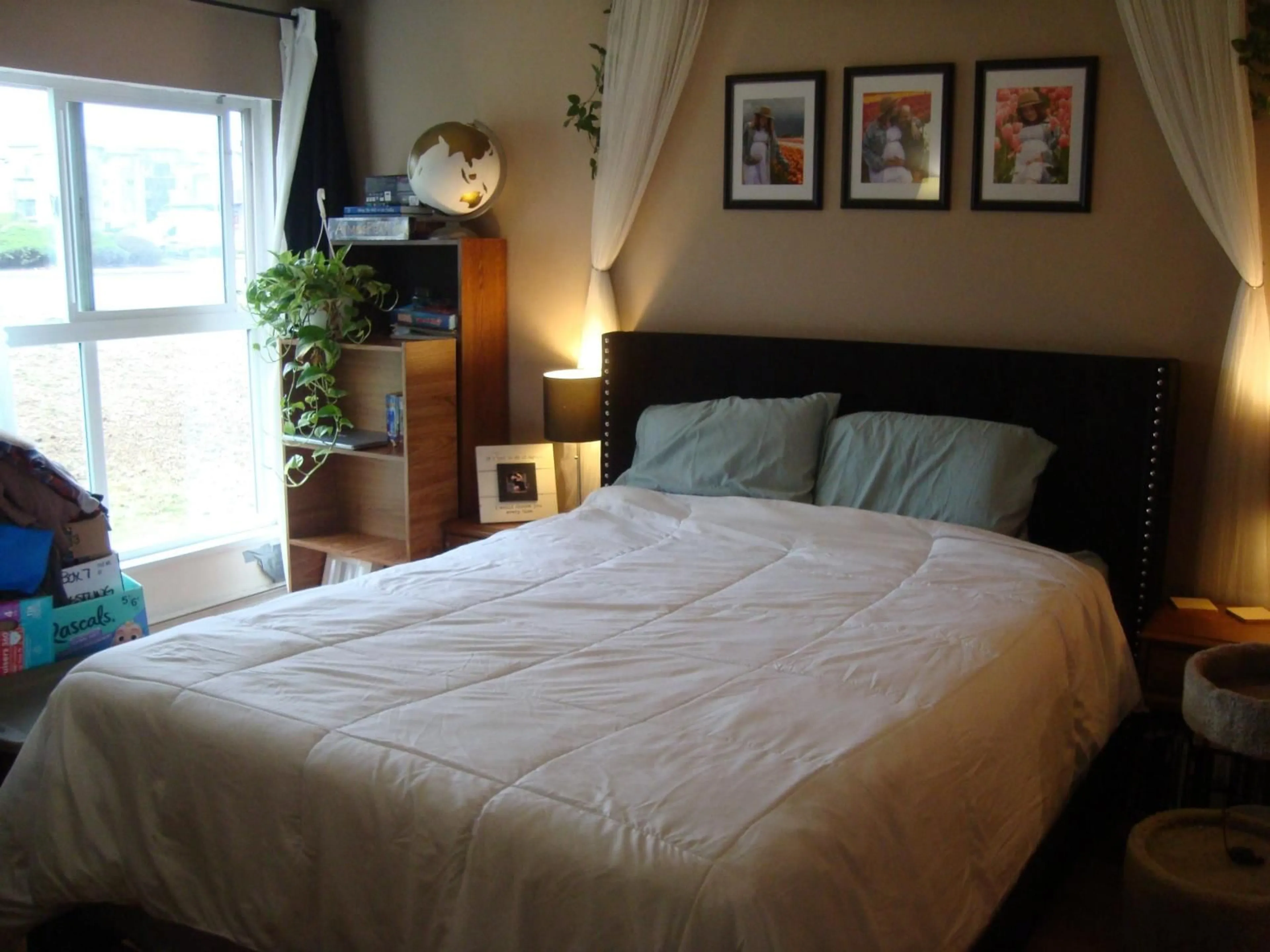 A pic of a room for 126 - 32850 GEORGE FERGUSON WAY, Abbotsford British Columbia V2S7K1