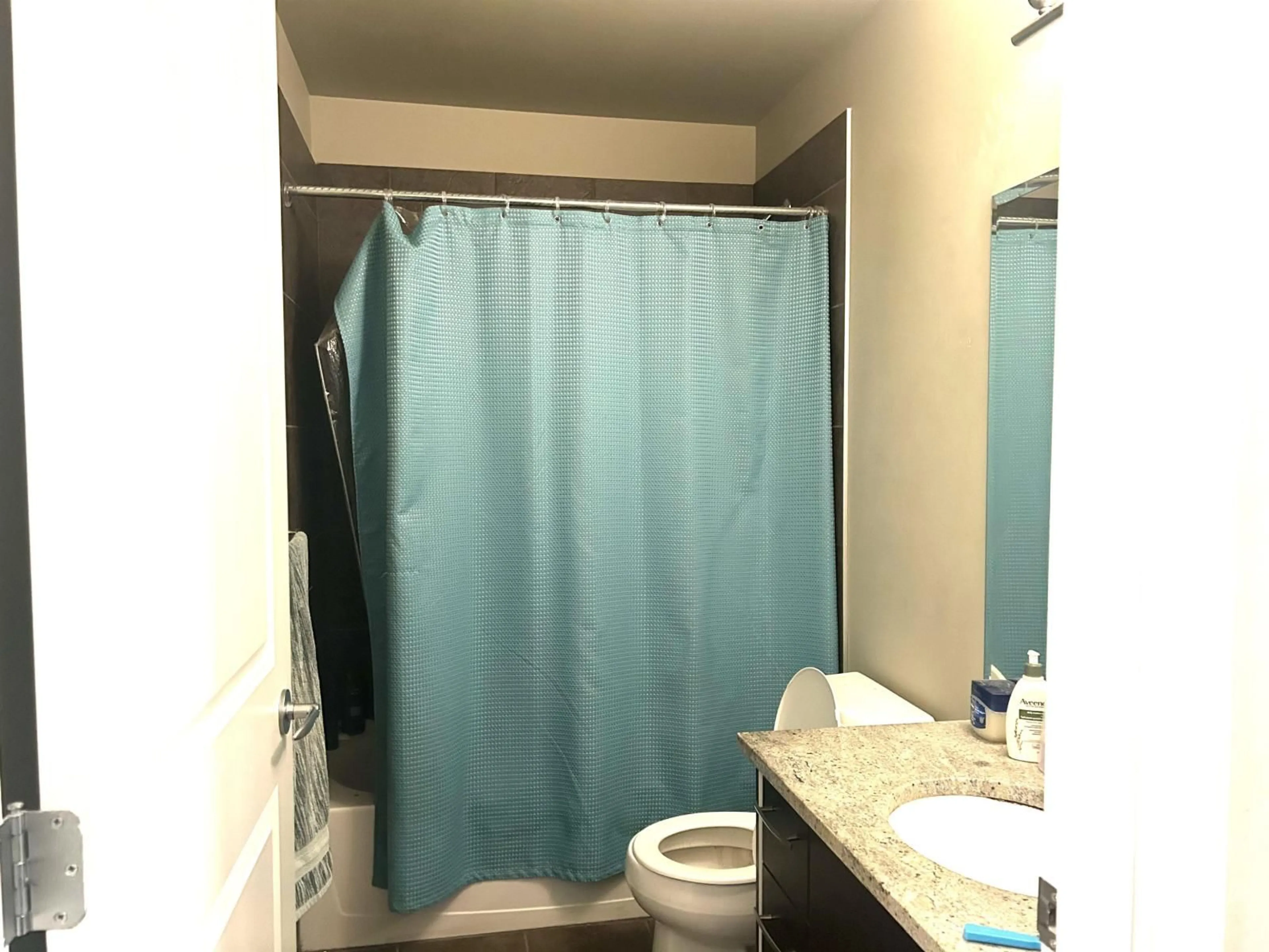 Standard bathroom, unknown for 314 - 2632 PAULINE STREET, Abbotsford British Columbia V2S0C9