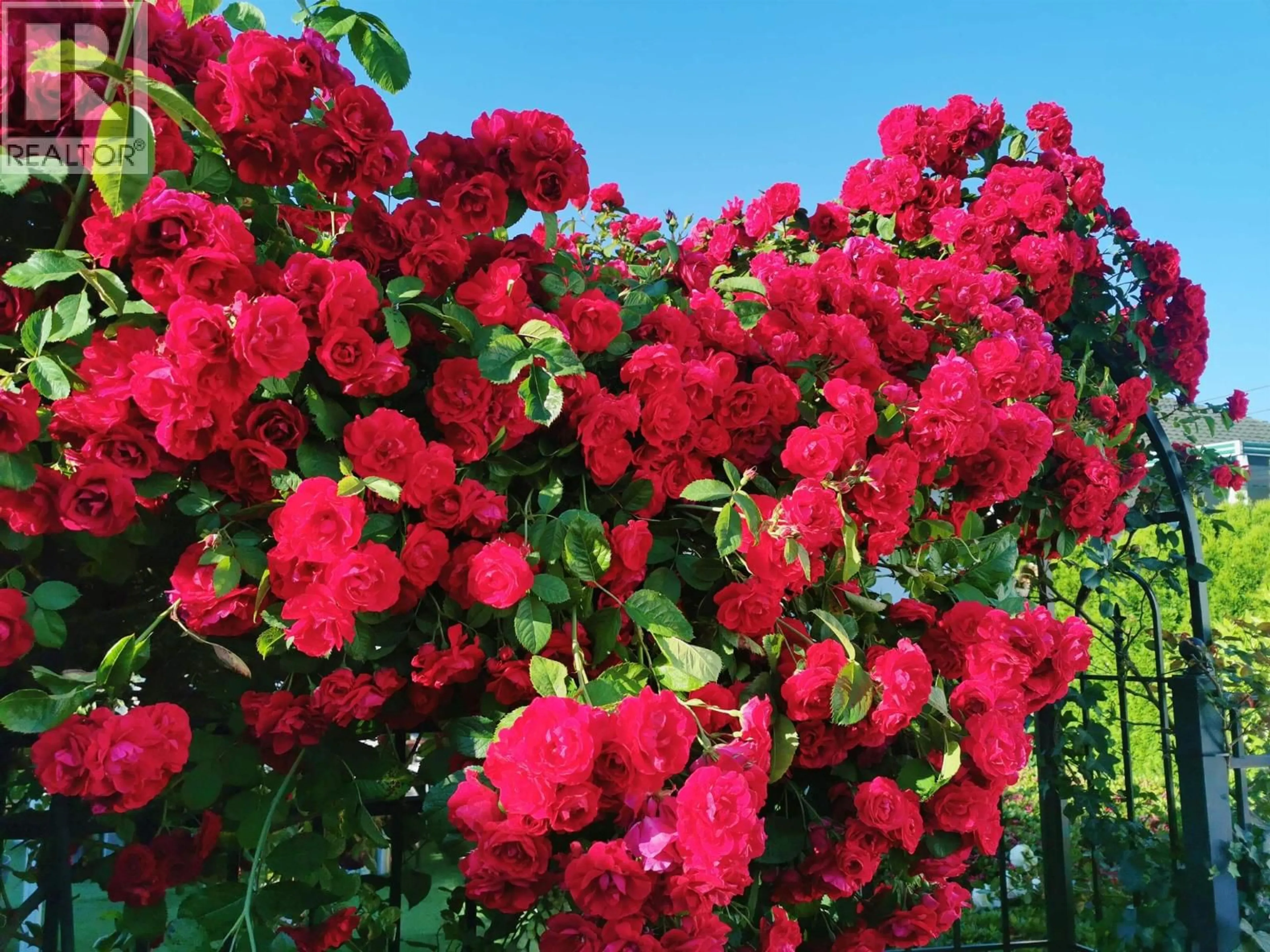 Patio, street for 6593 LOCHDALE STREET, Burnaby British Columbia V5B2M7