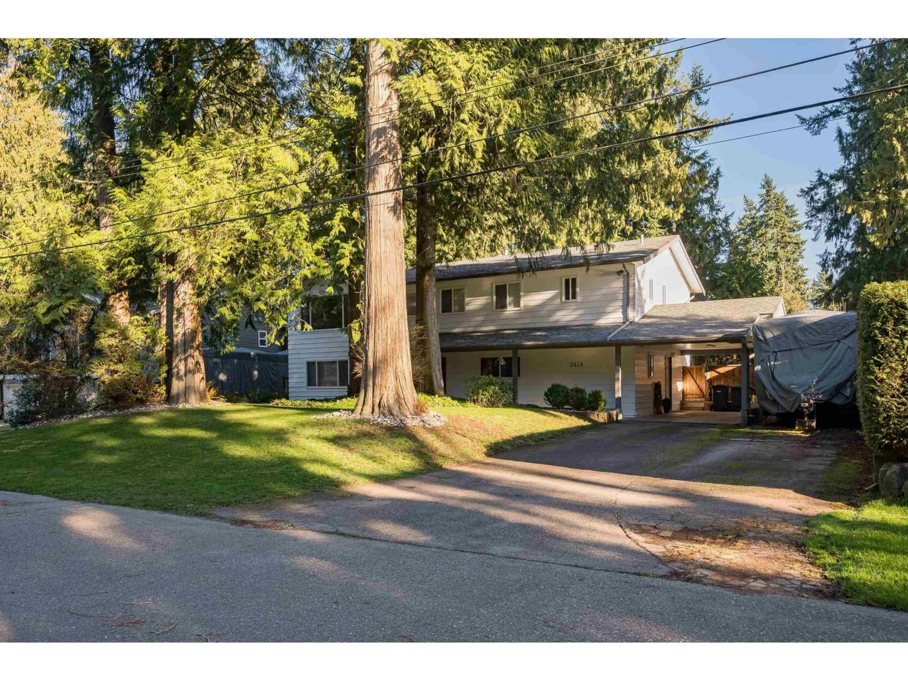 A pic from outside/outdoor area/front of a property/back of a property/a pic from drone, street for 3828 201 STREET, Langley British Columbia V3A1P2