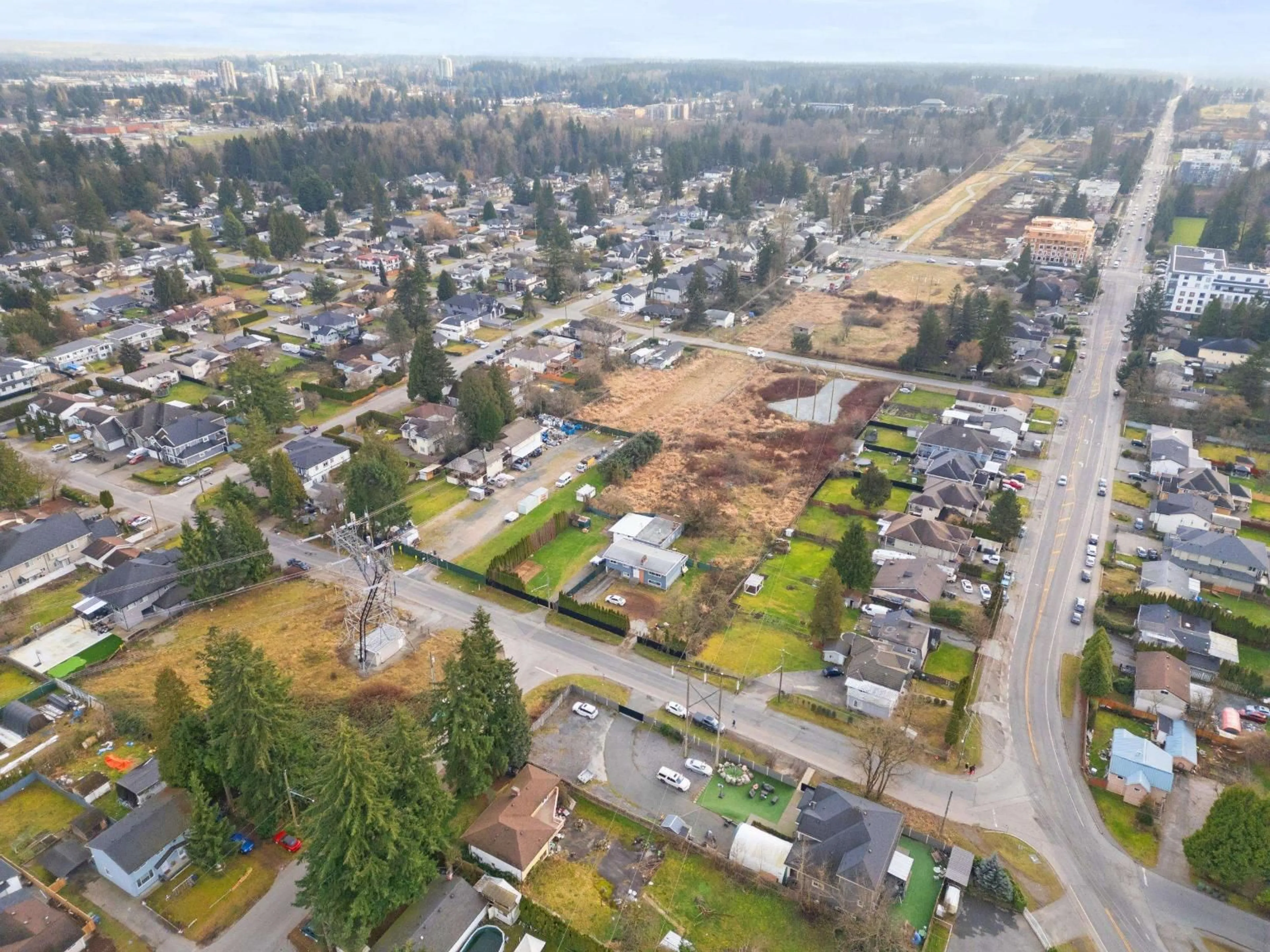 A pic from outside/outdoor area/front of a property/back of a property/a pic from drone, street for 14042 110 AVENUE, Surrey British Columbia V3R1Z2