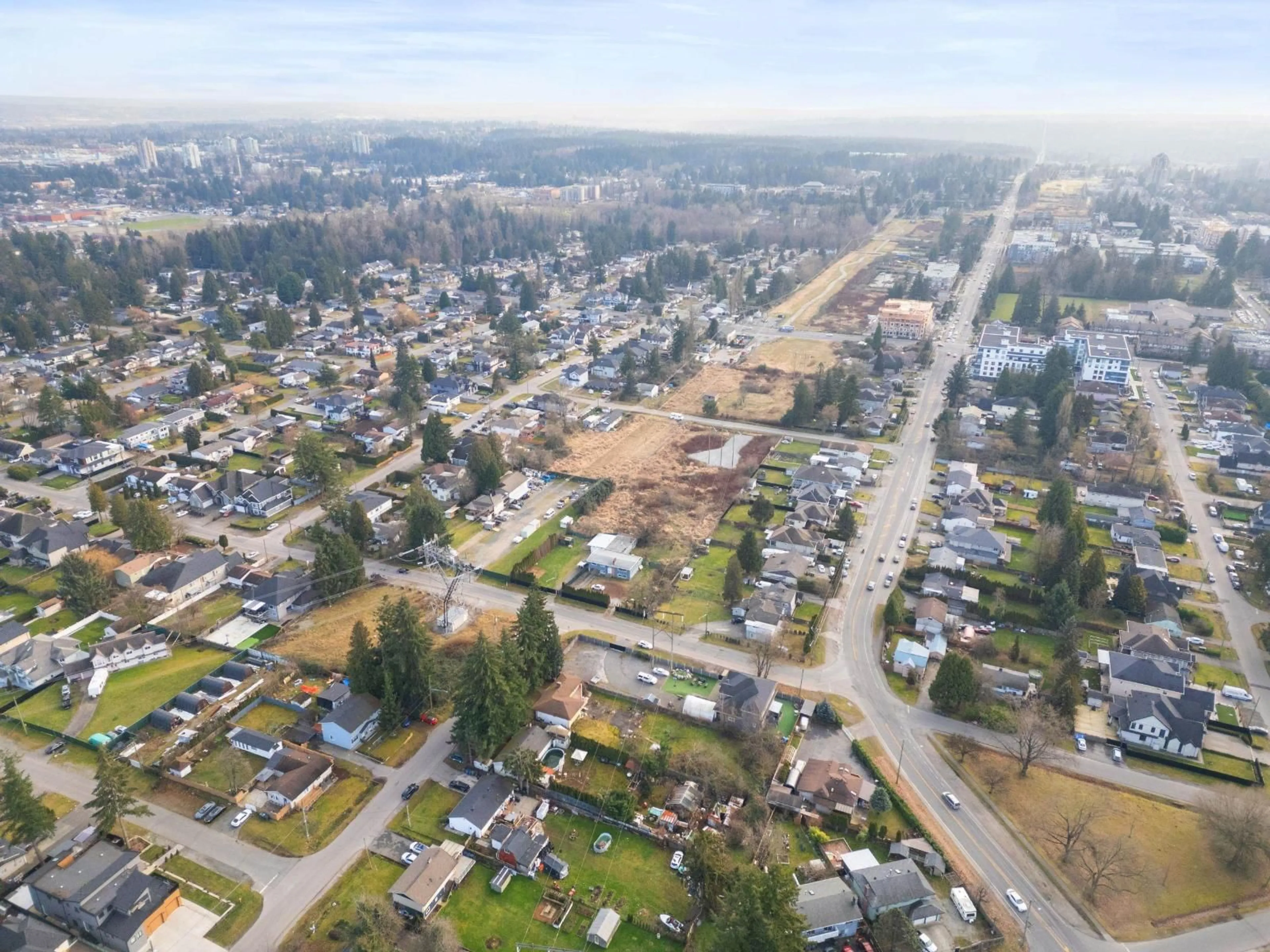 A pic from outside/outdoor area/front of a property/back of a property/a pic from drone, street for 14042 110 AVENUE, Surrey British Columbia V3R1Z2