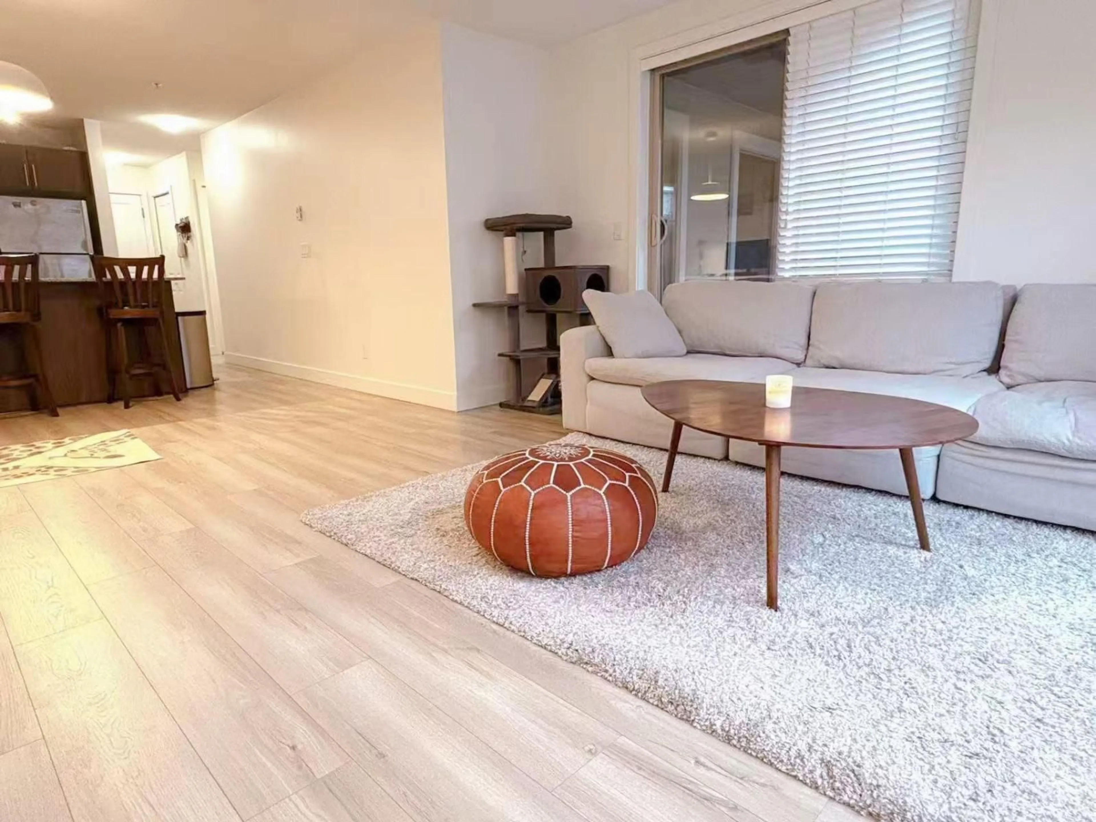 Living room with furniture, wood/laminate floor for A201 - 8929 202 STREET, Langley British Columbia V1M0B4