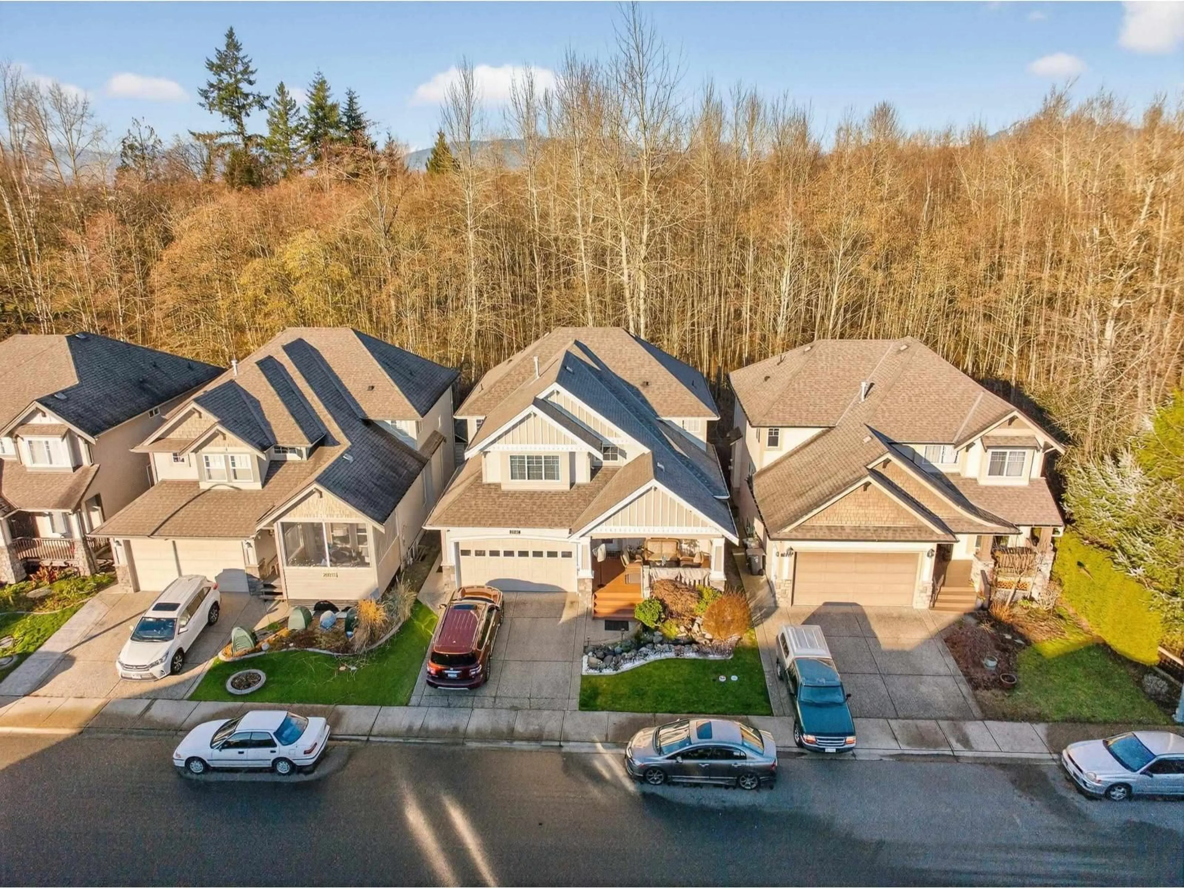 A pic from outside/outdoor area/front of a property/back of a property/a pic from drone, street for 20061 74TH AVENUE, Langley British Columbia V2Y3G6