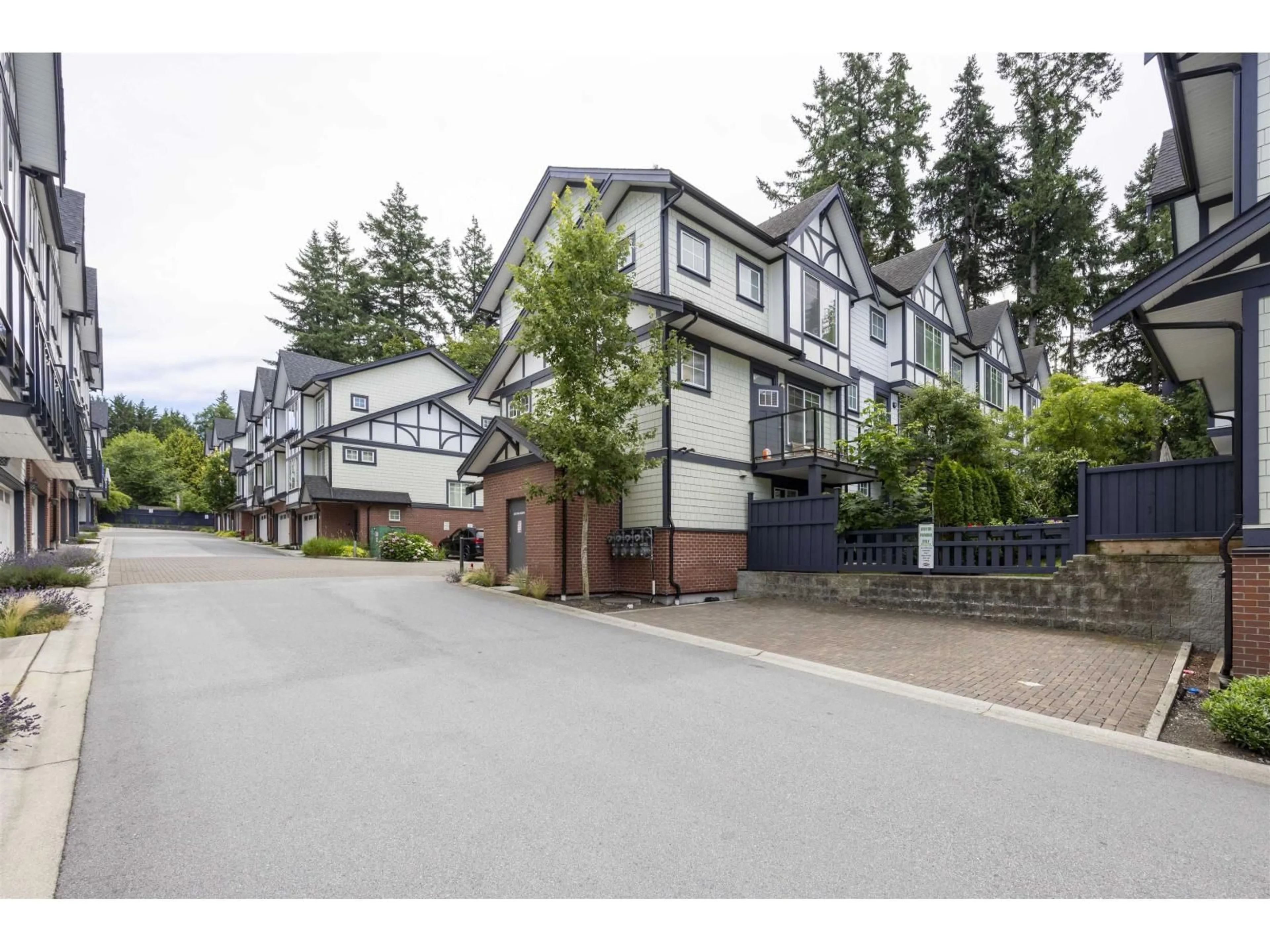 A pic from outside/outdoor area/front of a property/back of a property/a pic from drone, mountain view for 50 - 11188 72 AVENUE, Delta British Columbia V4E0A5