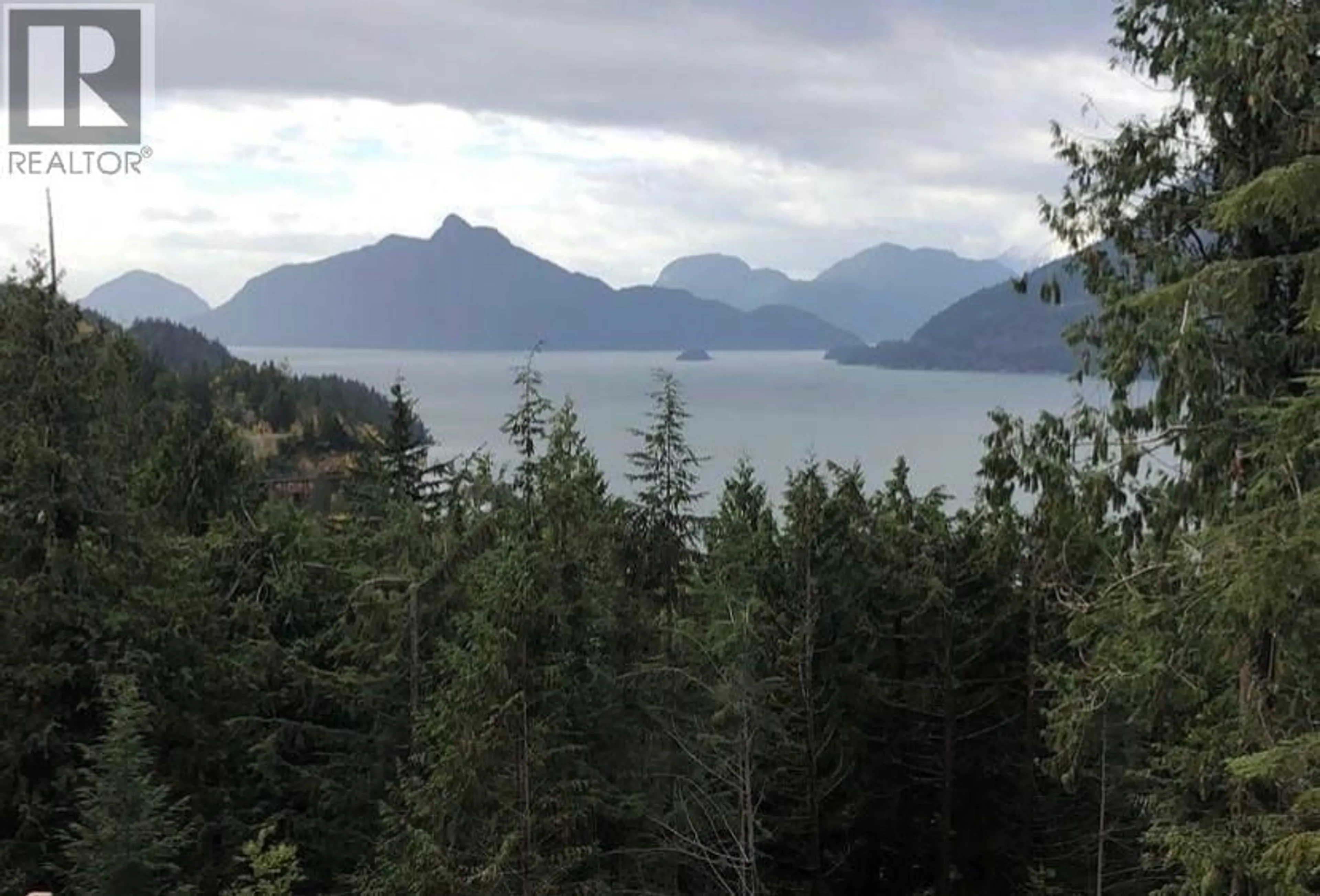 Blurry image for 1028 GOAT RIDGE DRIVE, Britannia Beach British Columbia V8B1J2