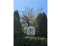 history photo preview