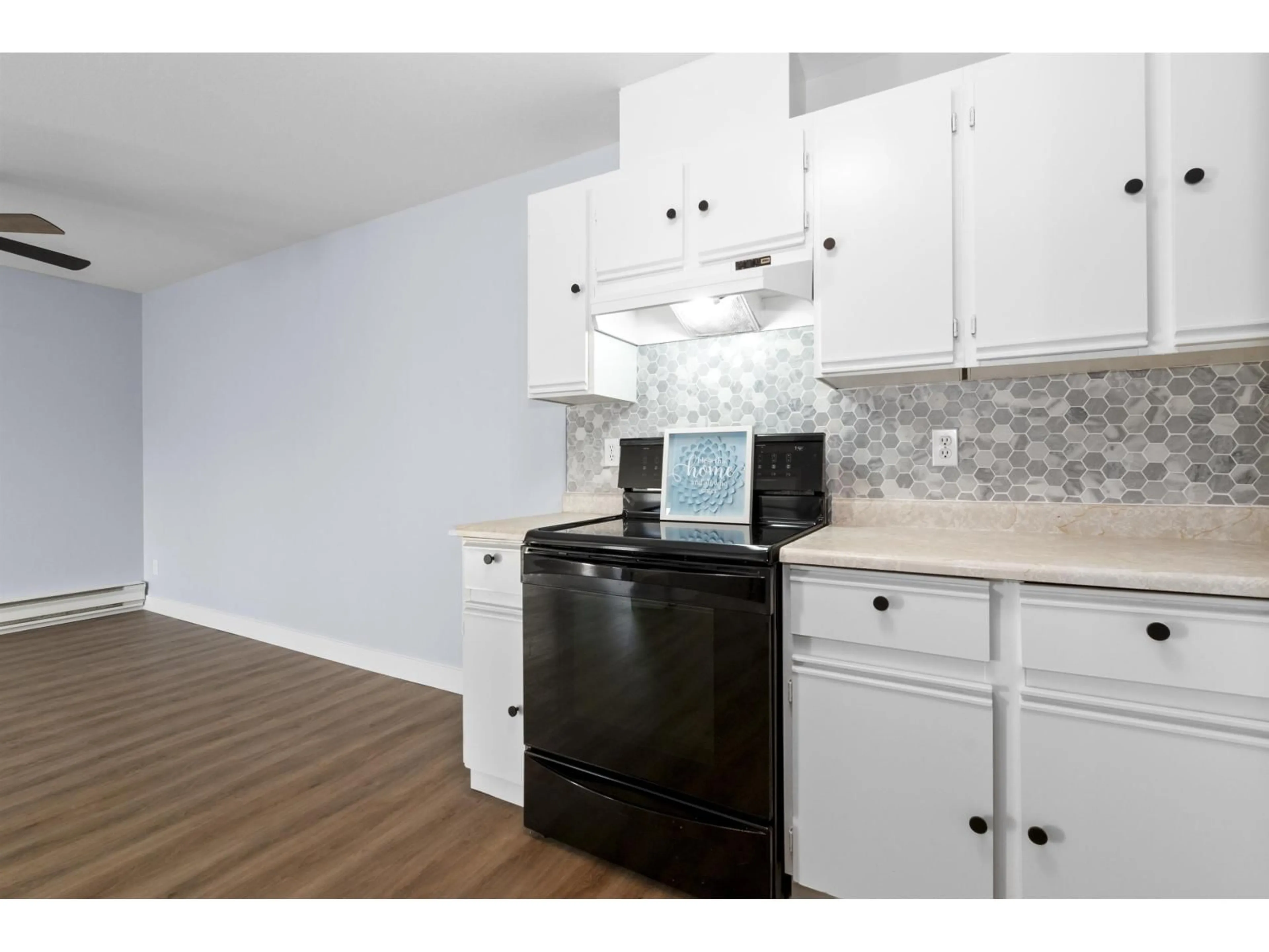 Standard kitchen, unknown for 220 - 45669 MCINTOSH DRIVE, Chilliwack British Columbia V2P6V4