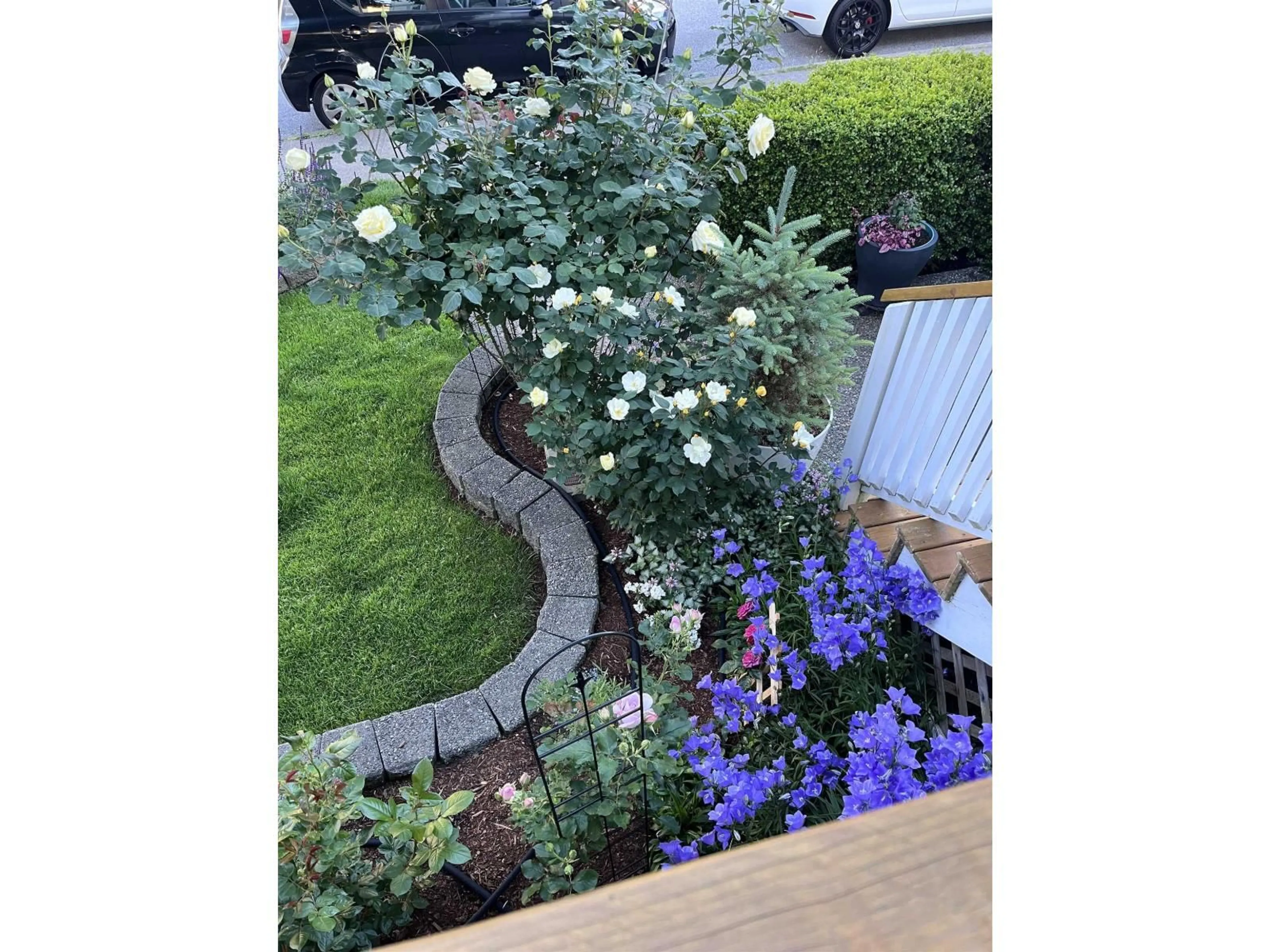 A pic from outside/outdoor area/front of a property/back of a property/a pic from drone, street for 5776 149 STREET, Surrey British Columbia V3S8W4