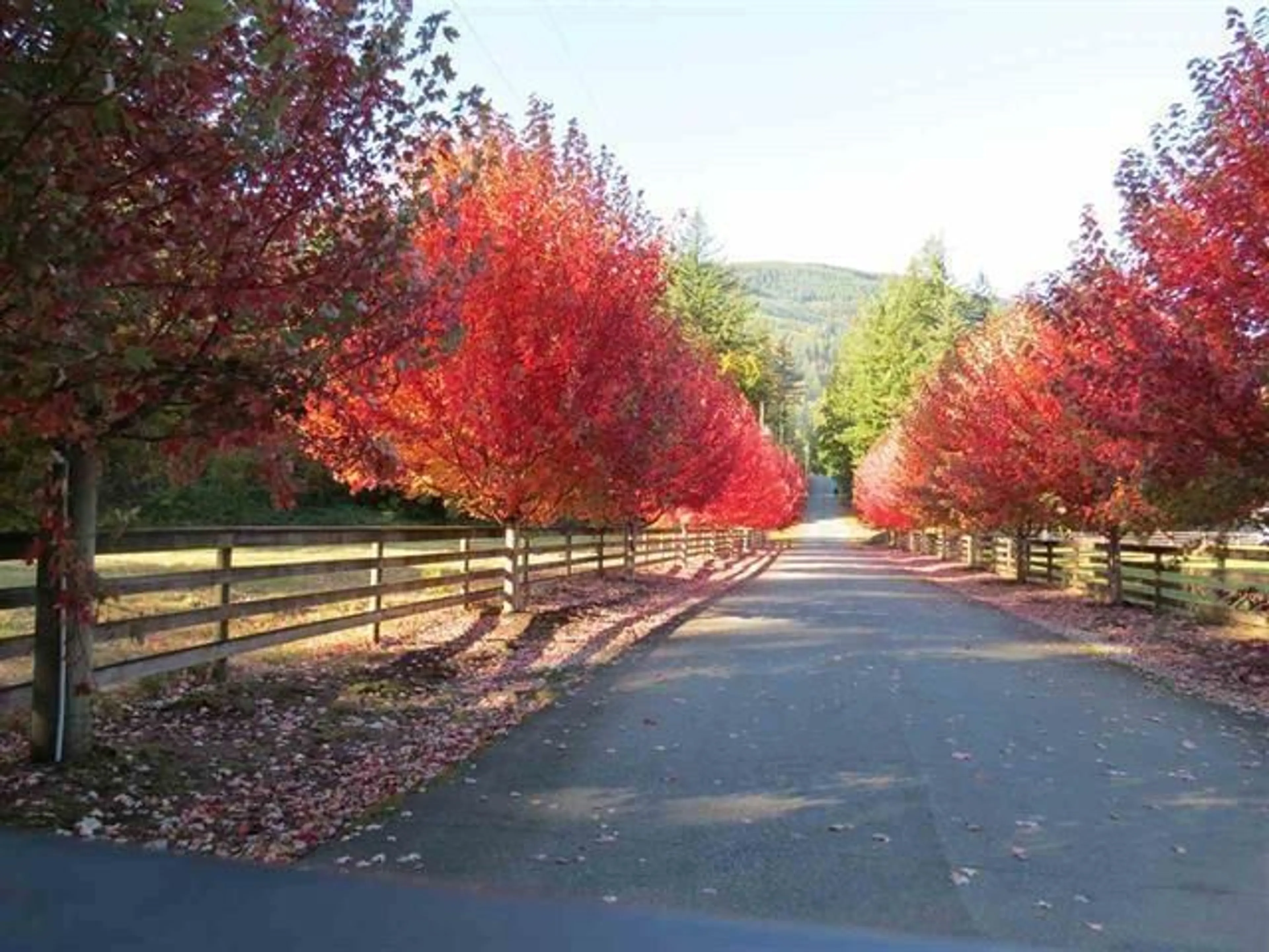 Blurry image for 1400 MAPLE ROCK DRIVE, Columbia Valley British Columbia V2R4X5