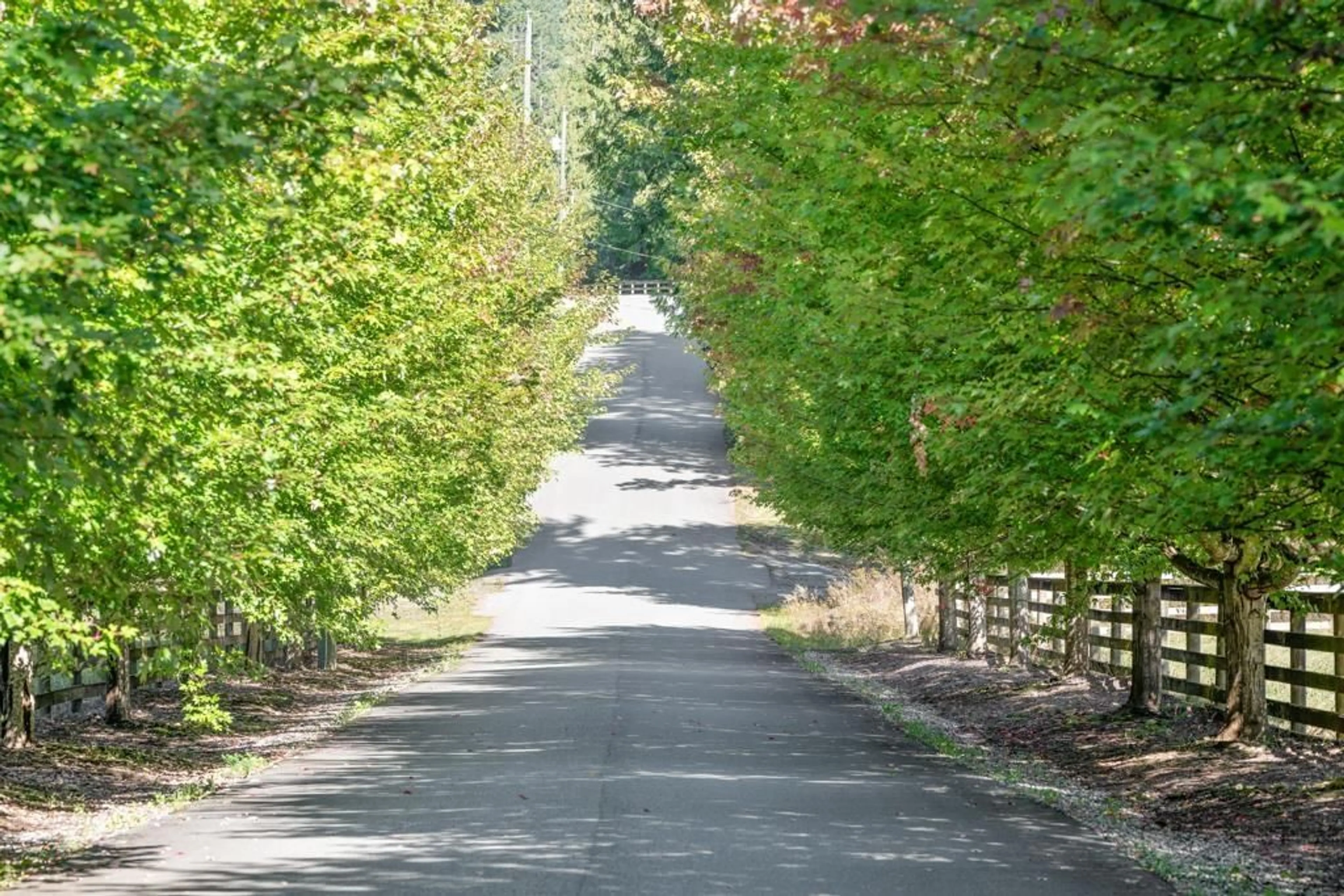 Unknown for 1400 MAPLE ROCK DRIVE, Columbia Valley British Columbia V2R4X5