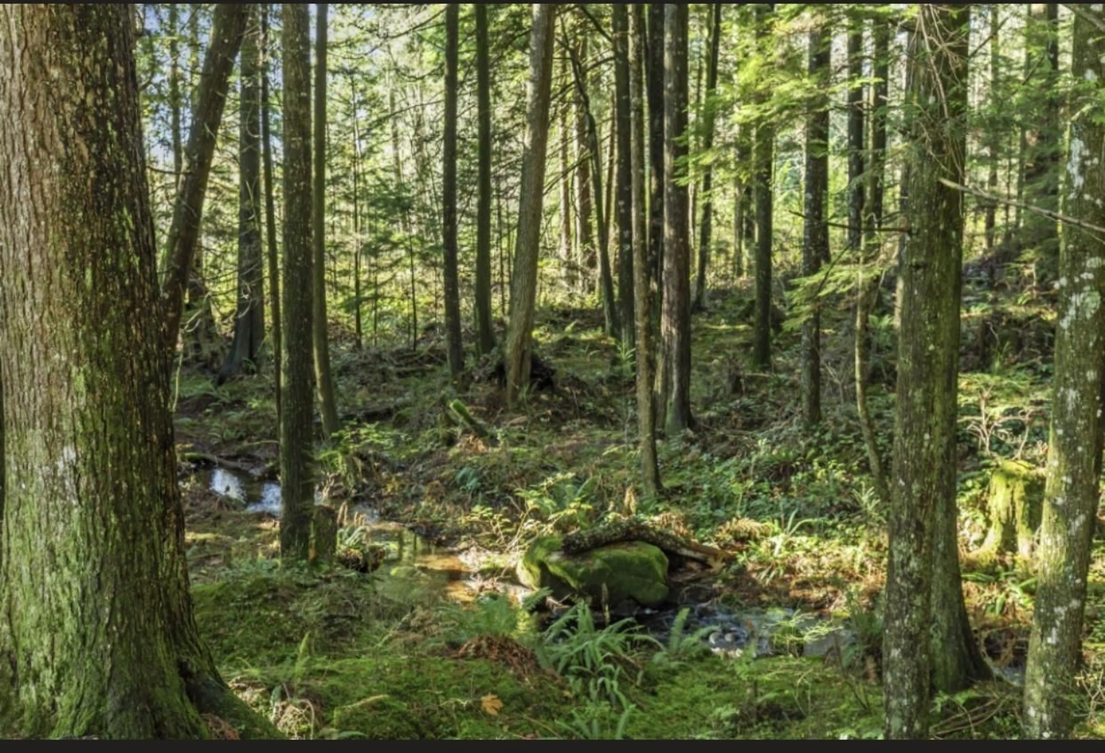 Unknown for 30317 BERG AVENUE, Mission British Columbia V4S1C8