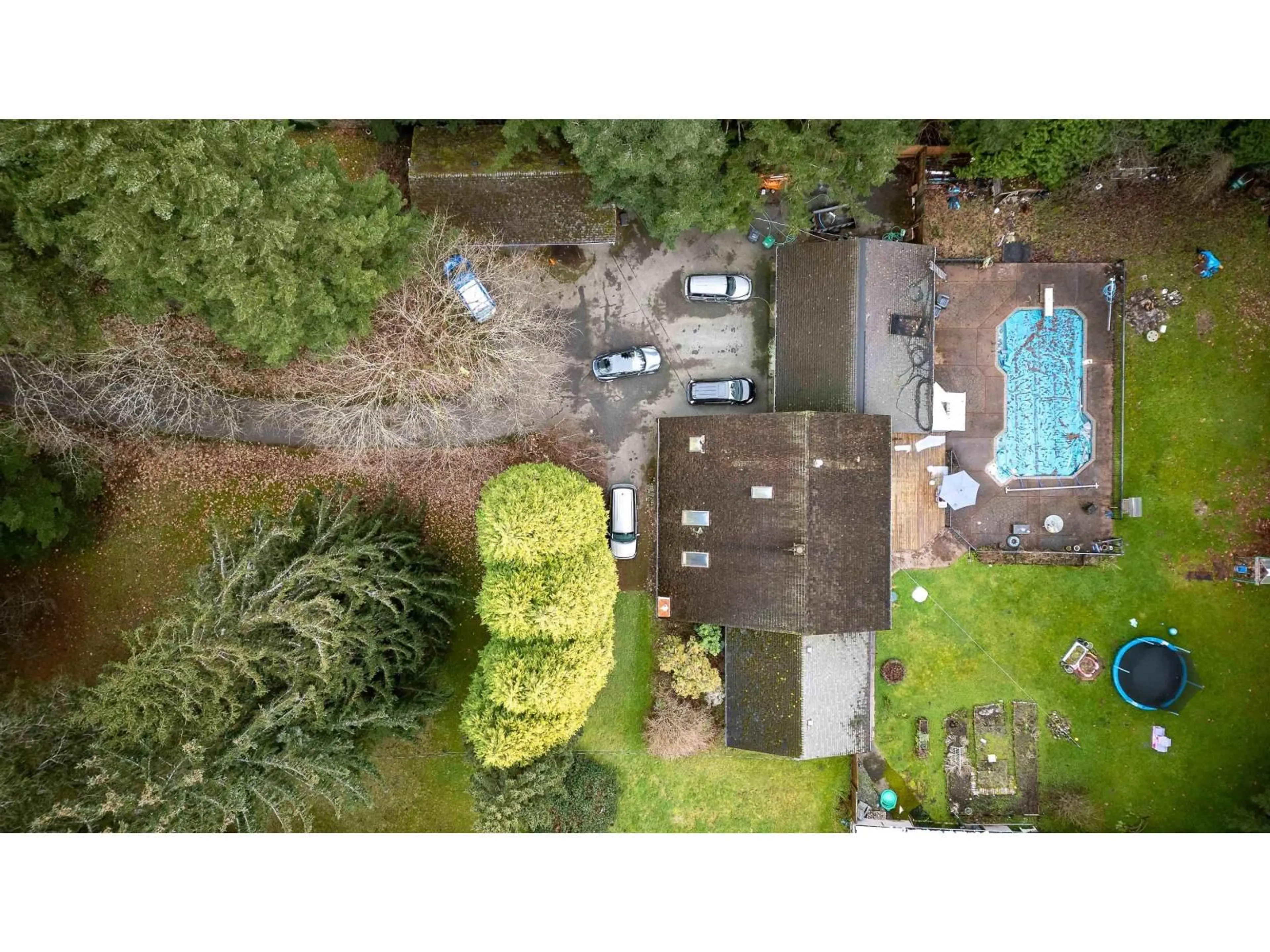 A pic from outside/outdoor area/front of a property/back of a property/a pic from drone, forest/trees view for 20108 32 AVENUE, Langley British Columbia V2Z2E1