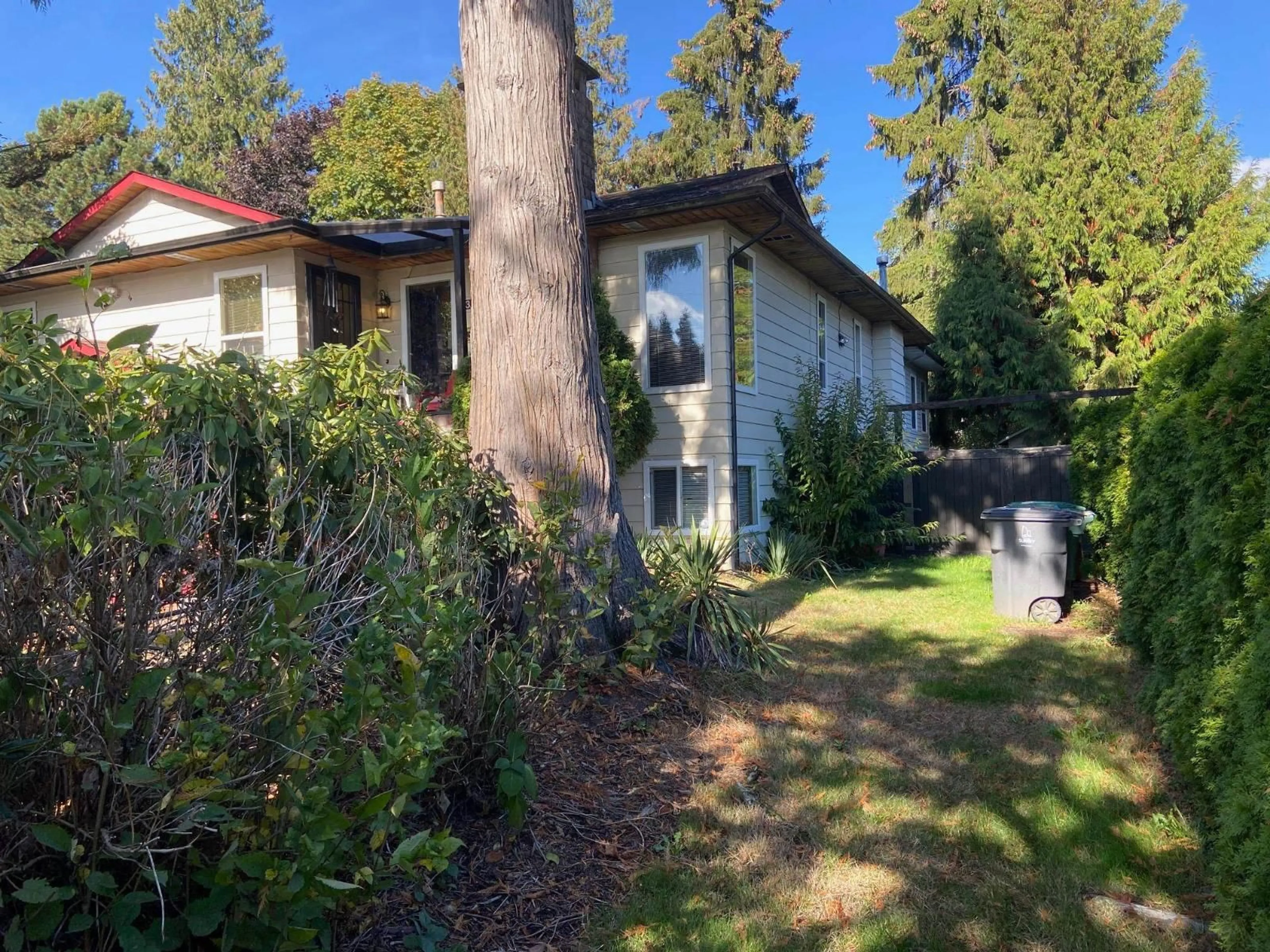 A pic from outside/outdoor area/front of a property/back of a property/a pic from drone, forest/trees view for 13169 98 AVENUE, Surrey British Columbia V3T1B8