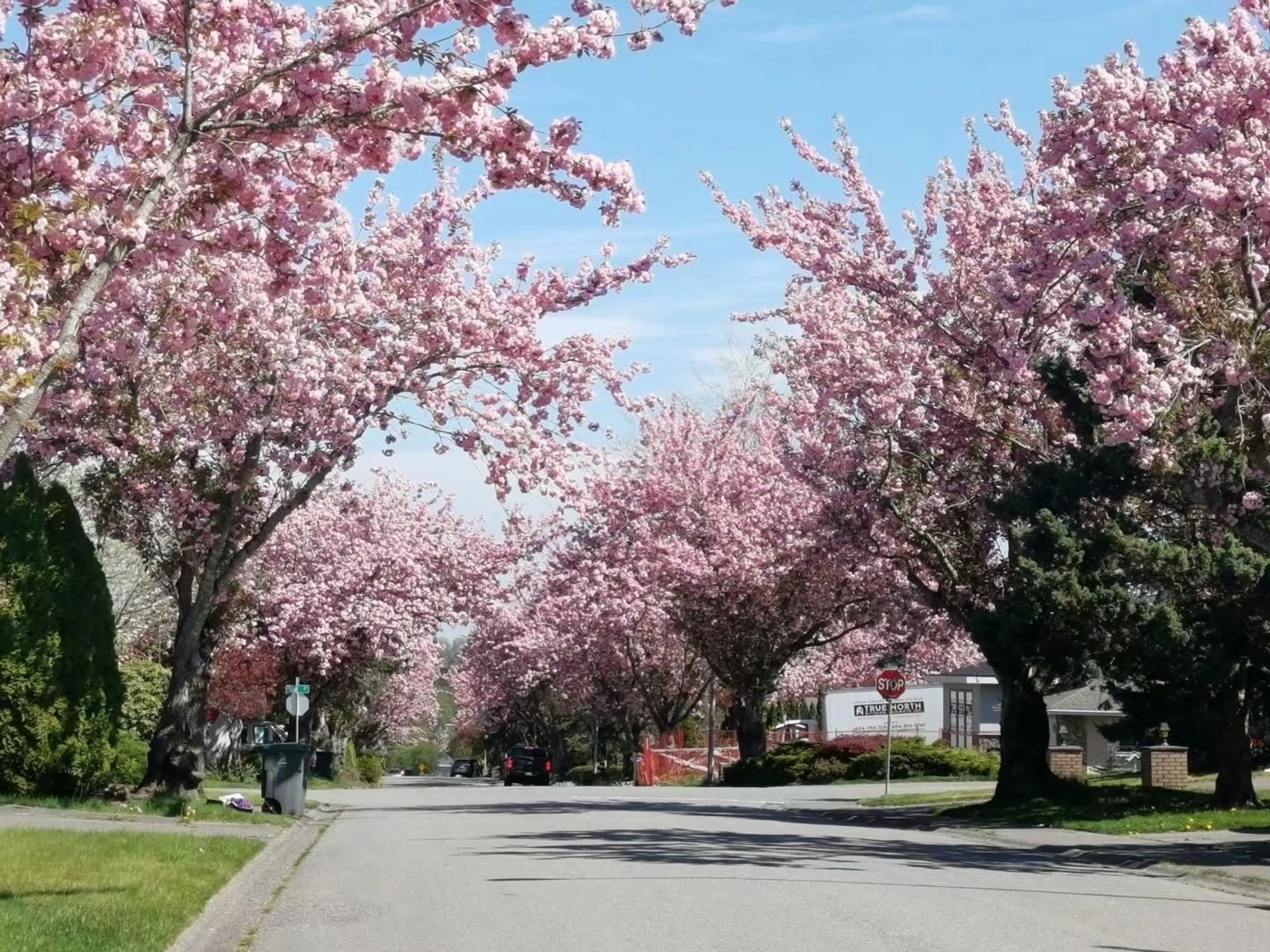 Blurry image for 15759 101 AVENUE, Surrey British Columbia V4N2S5