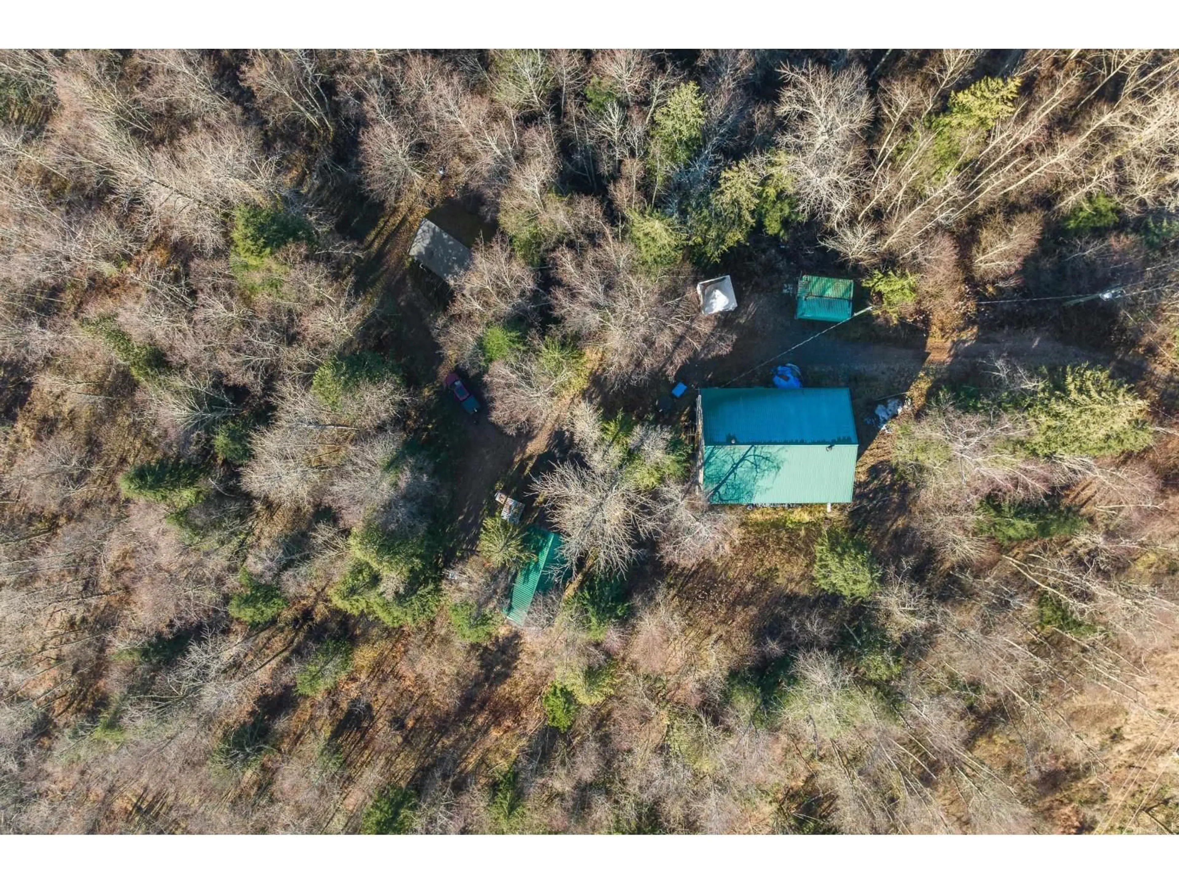 A pic from outside/outdoor area/front of a property/back of a property/a pic from drone, forest/trees view for 49780 LOOKOUT ROAD, Chilliwack British Columbia V4Z1A5