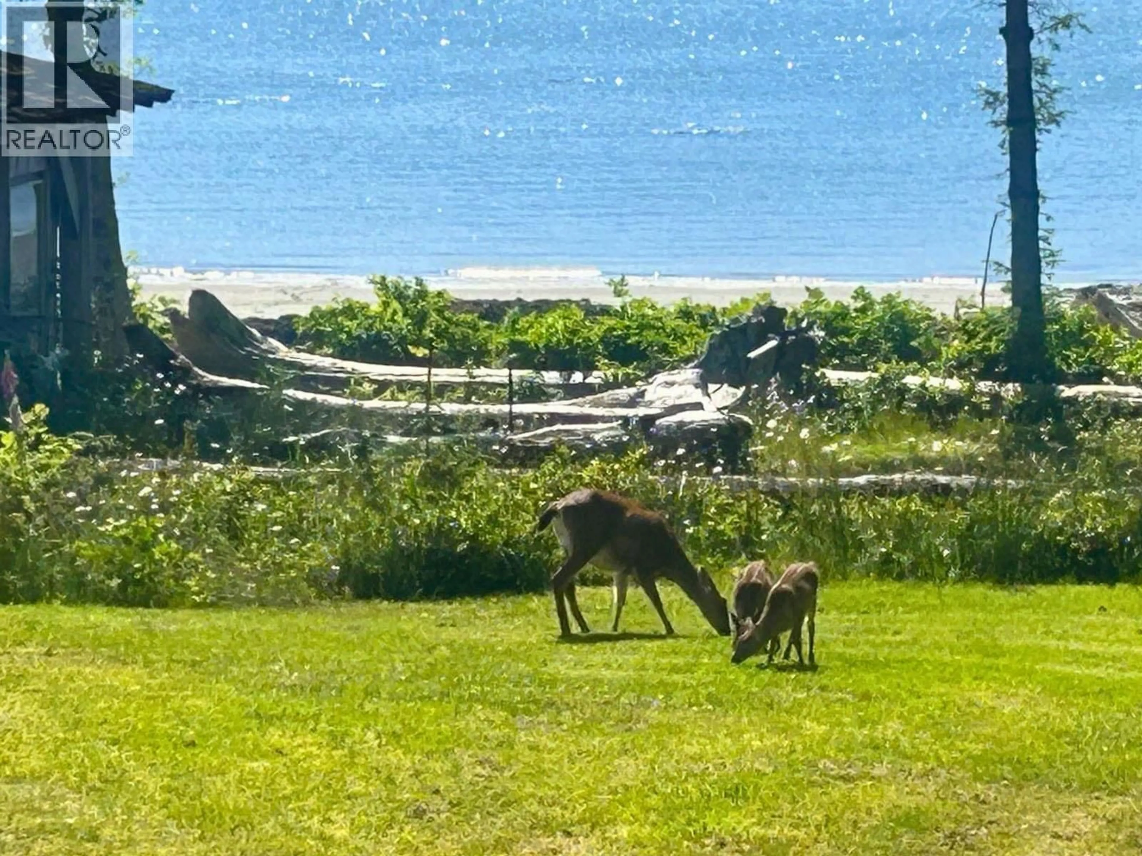 A pic from outside/outdoor area/front of a property/back of a property/a pic from drone, water/lake/river/ocean view for DL 2200 OONA RIVER AVENUE, Prince Rupert British Columbia V0V1E0