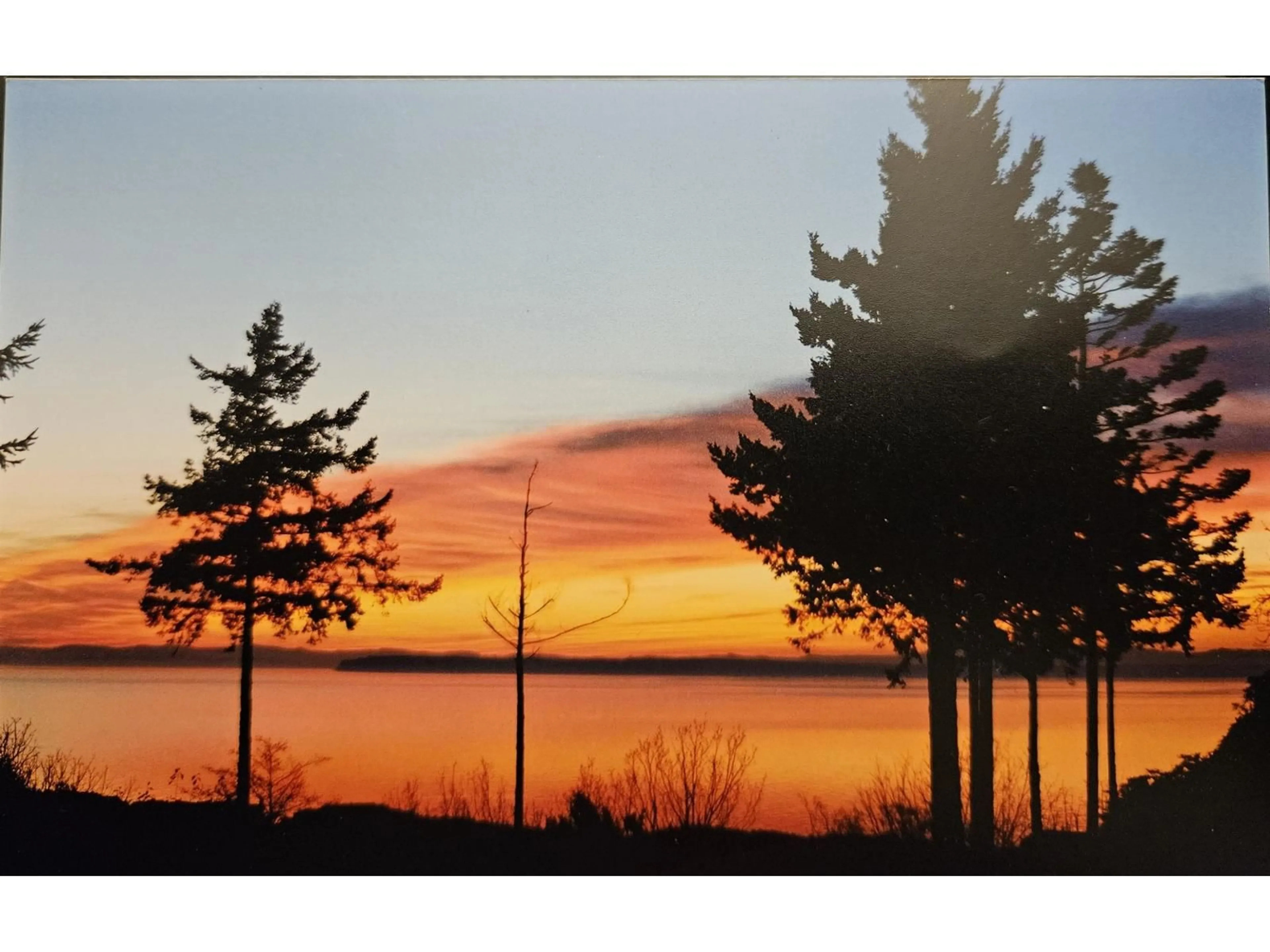 Blurry image for 12581 16 AVENUE, Surrey British Columbia V4A1M7