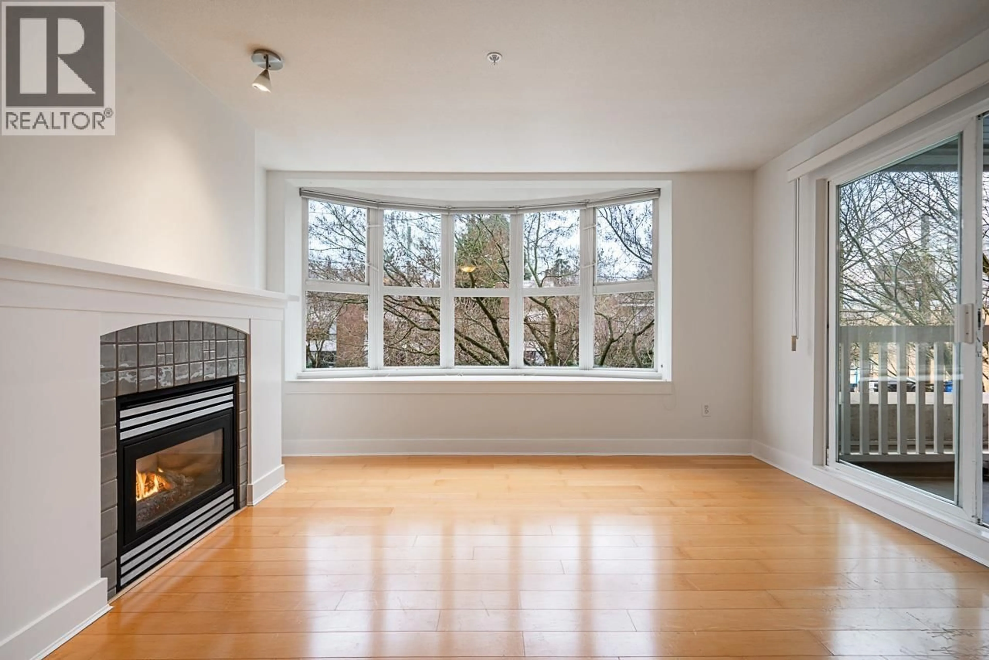 A pic of a room for 203 - 1858 5TH AVENUE, Vancouver British Columbia V6J1P3