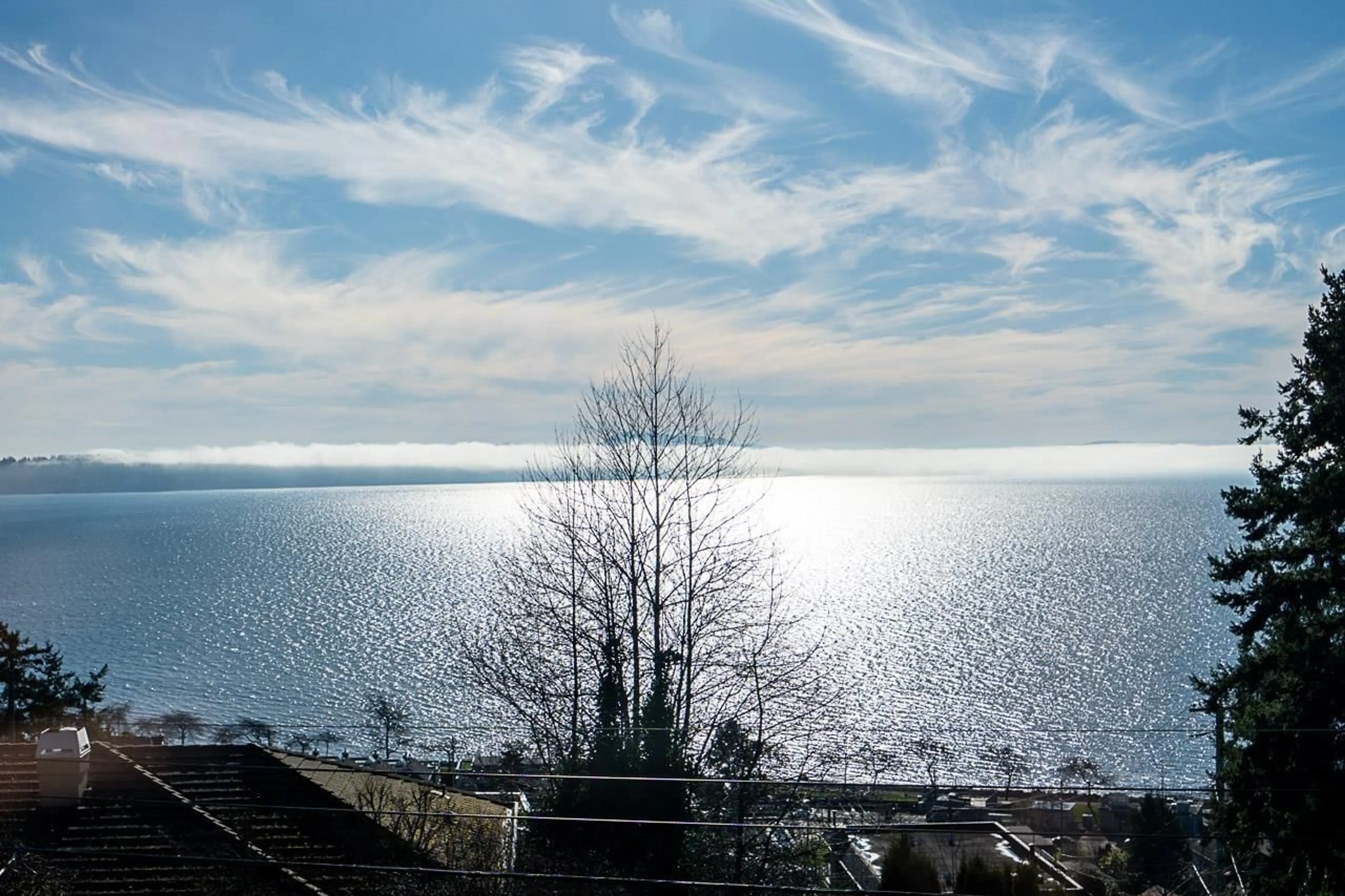 Blurry image for 14815 HARDIE AVENUE, White Rock British Columbia V4B2H6