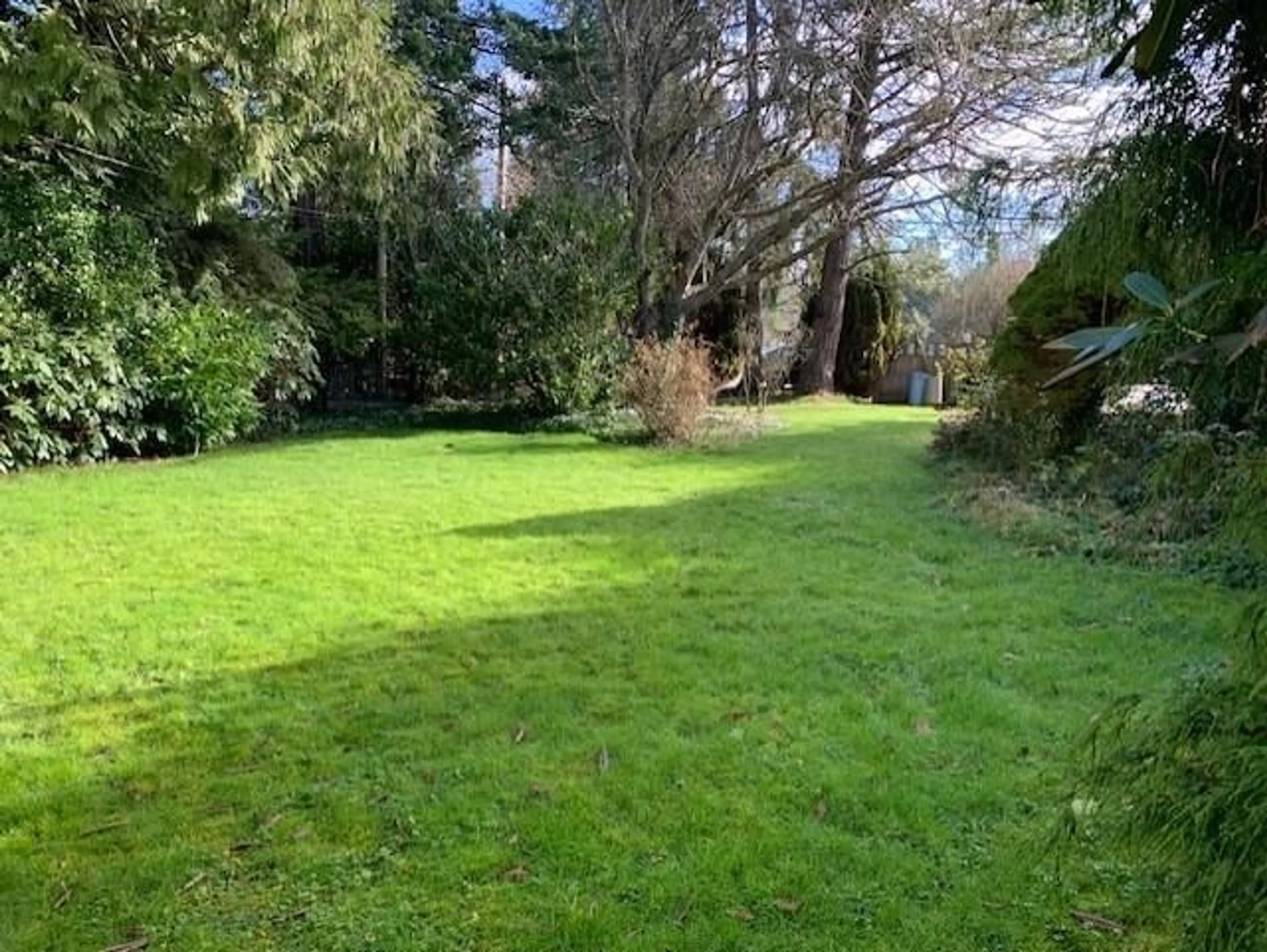 A pic from outside/outdoor area/front of a property/back of a property/a pic from drone, forest/trees view for 1695 136 STREET, Surrey British Columbia V4A4E3