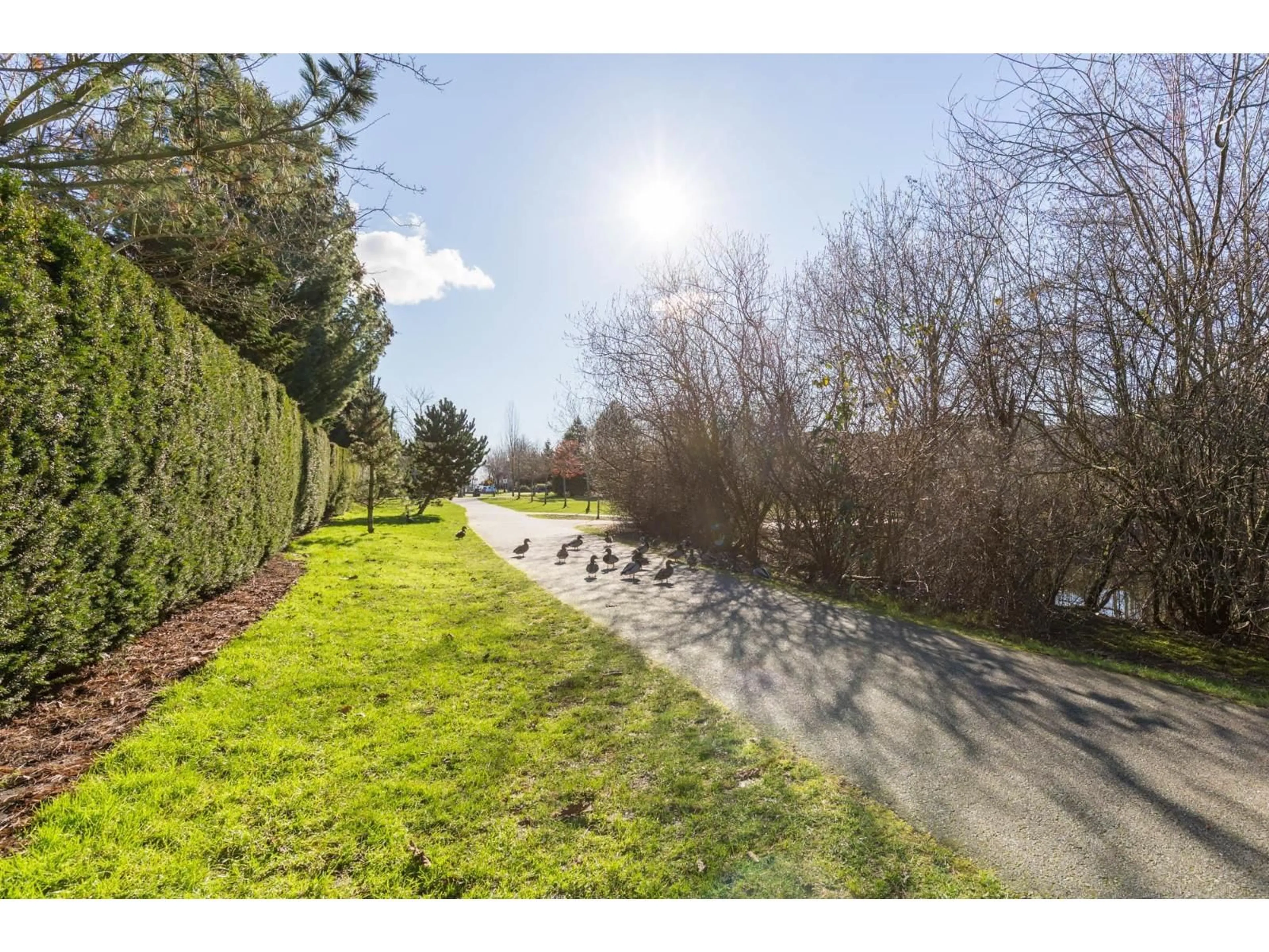 A pic from outside/outdoor area/front of a property/back of a property/a pic from drone, water/lake/river/ocean view for 27 - 2603 162 STREET, Surrey British Columbia V3Z2L4