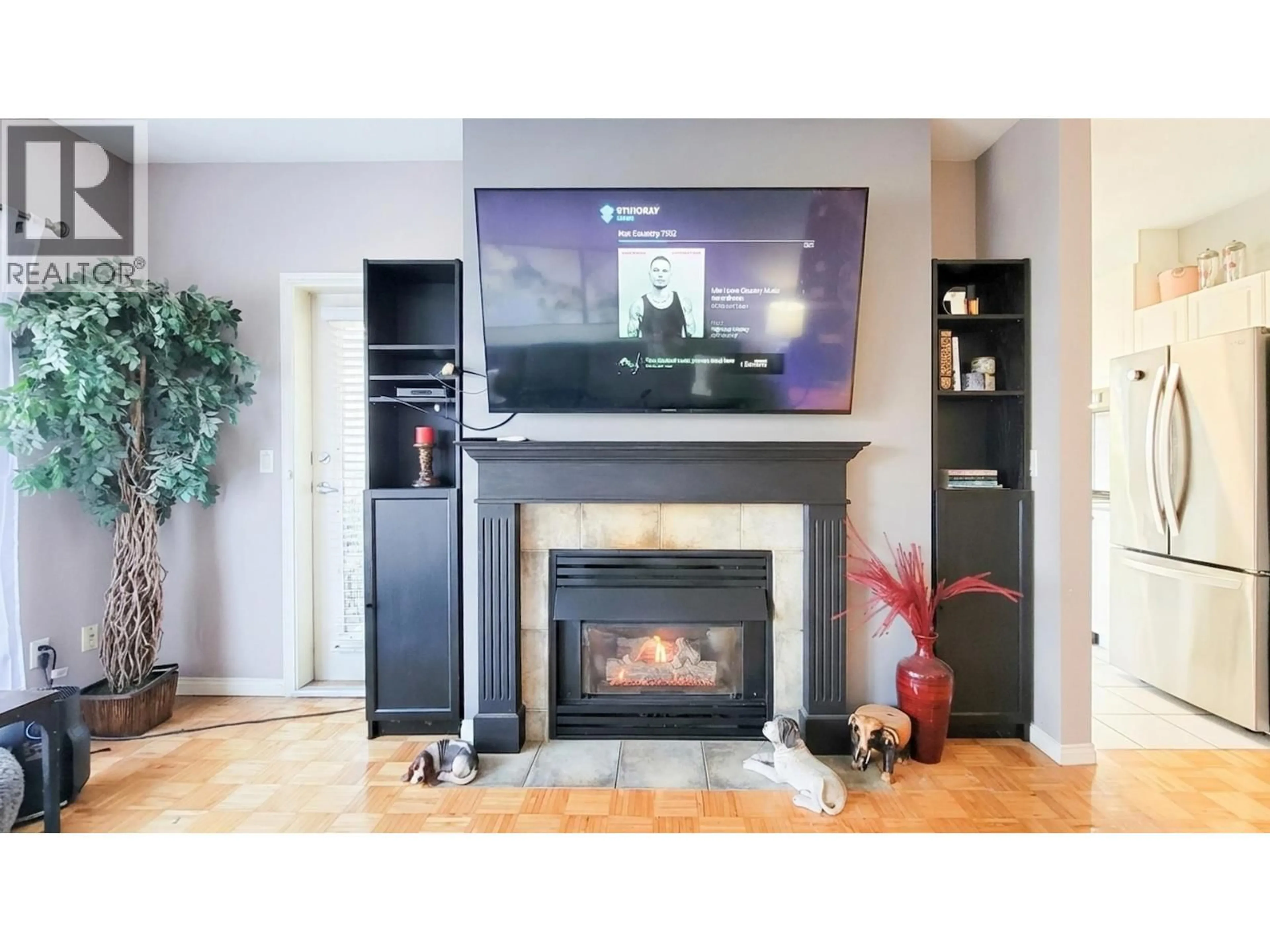 Home theater for 202 - 19091 MCMYN ROAD, Pitt Meadows British Columbia V3Y2S8