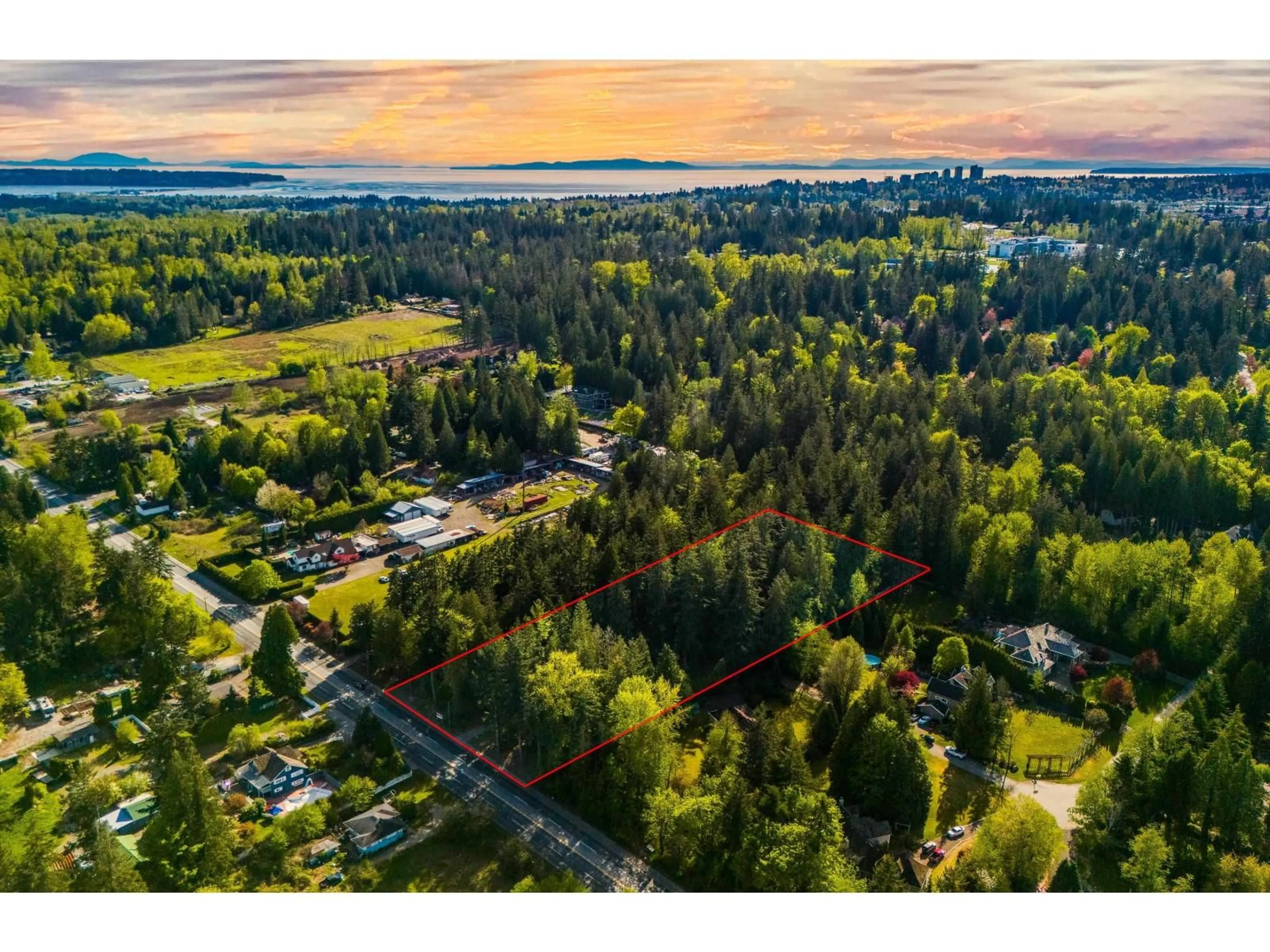 A pic from outside/outdoor area/front of a property/back of a property/a pic from drone, forest/trees view for 2727 176 STREET, Surrey British Columbia V3Z9V4