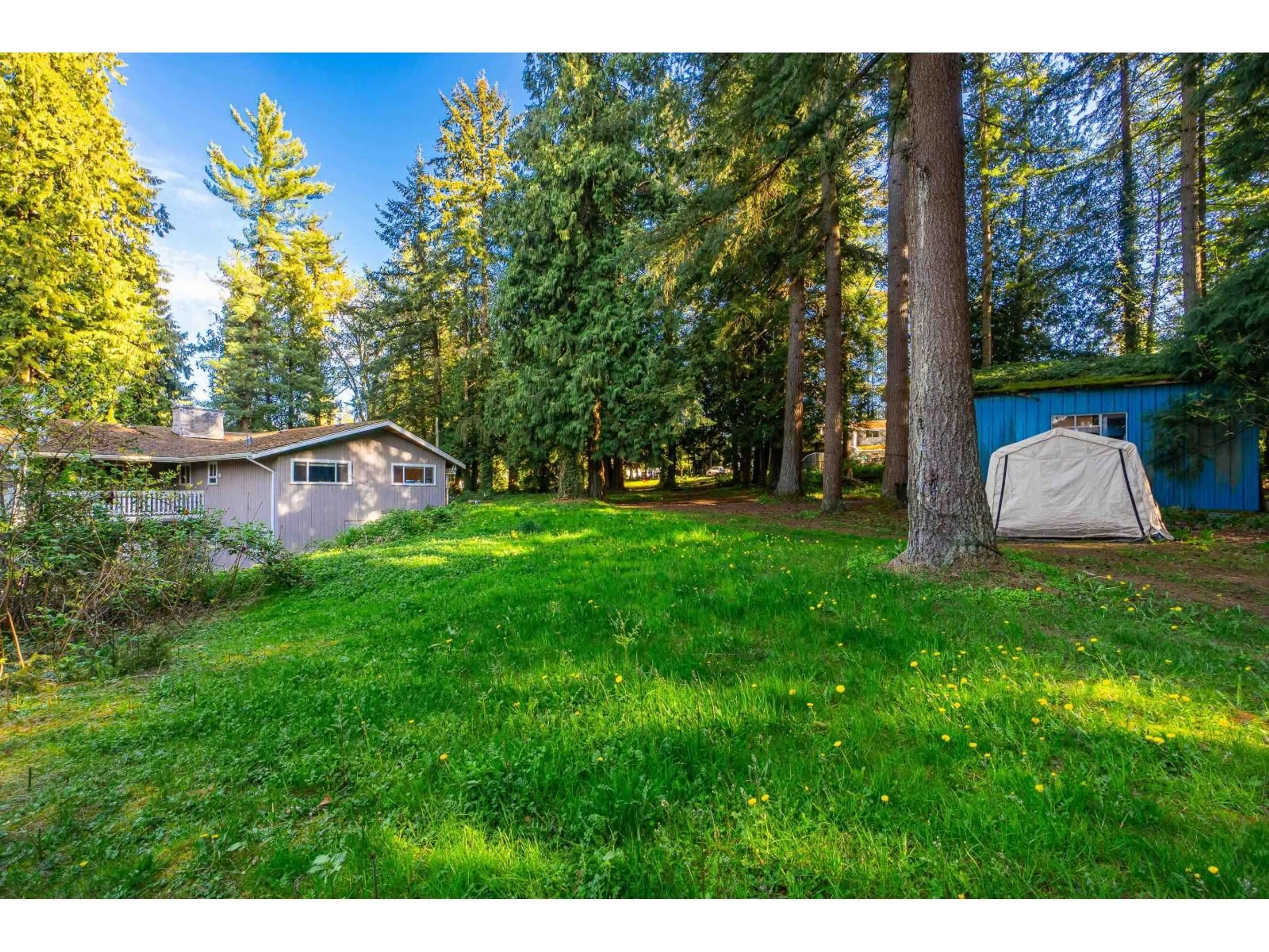 A pic from outside/outdoor area/front of a property/back of a property/a pic from drone, forest/trees view for 2727 176 STREET, Surrey British Columbia V3Z9V4