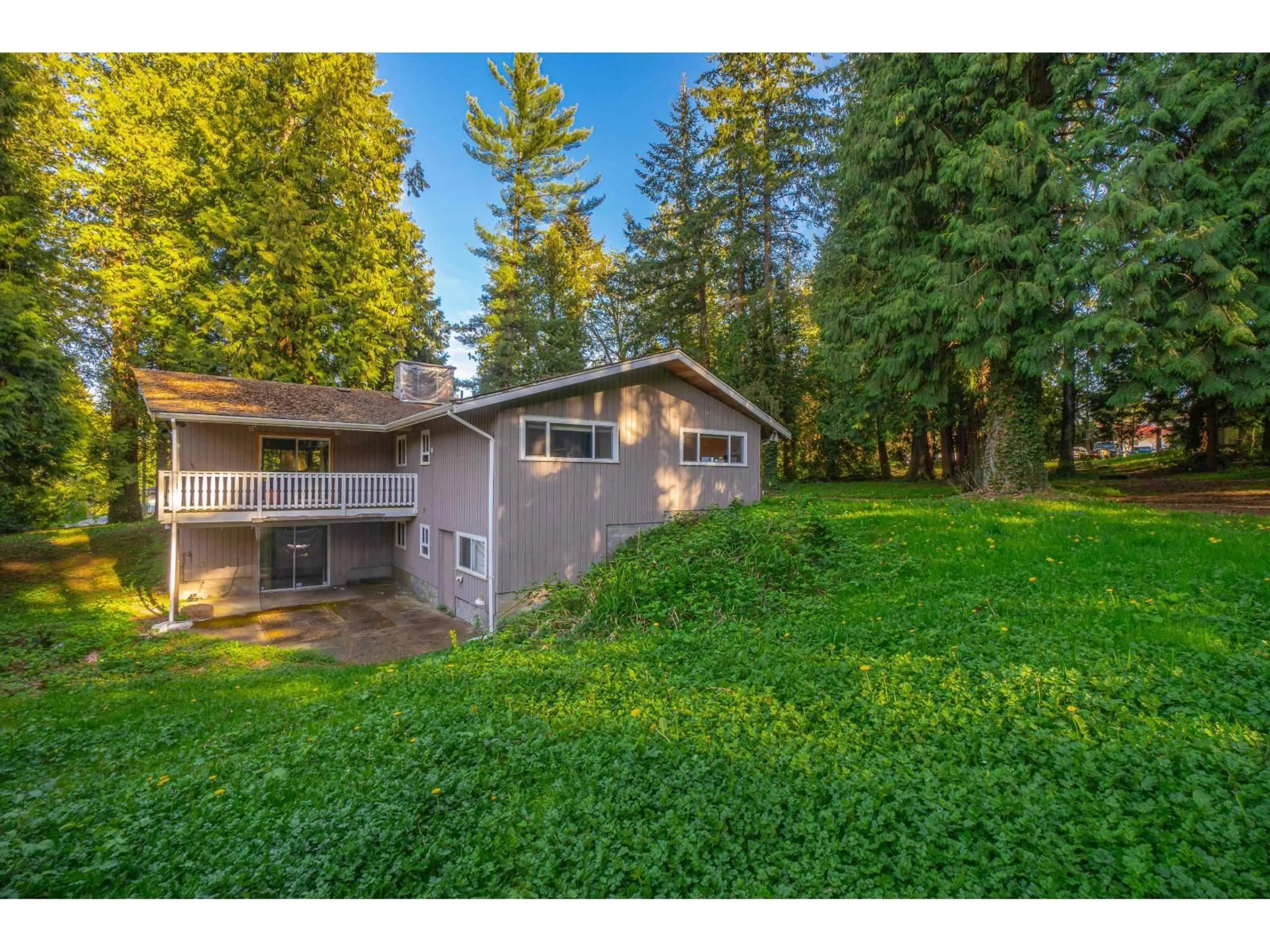 A pic from outside/outdoor area/front of a property/back of a property/a pic from drone, forest/trees view for 2727 176 STREET, Surrey British Columbia V3Z9V4