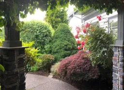 history photo preview